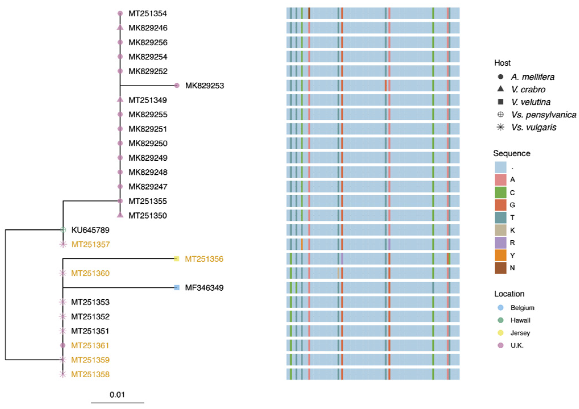 Viruses 12 00607 g002