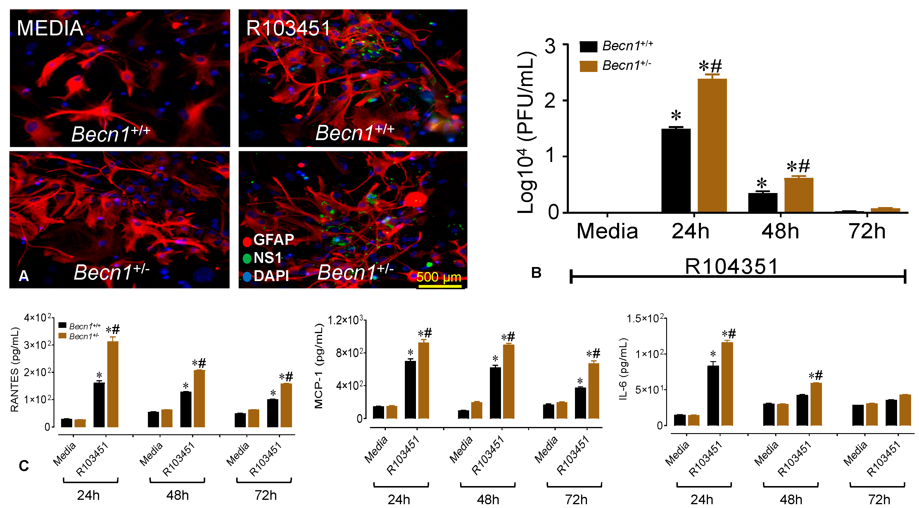 Viruses 12 00608 g004