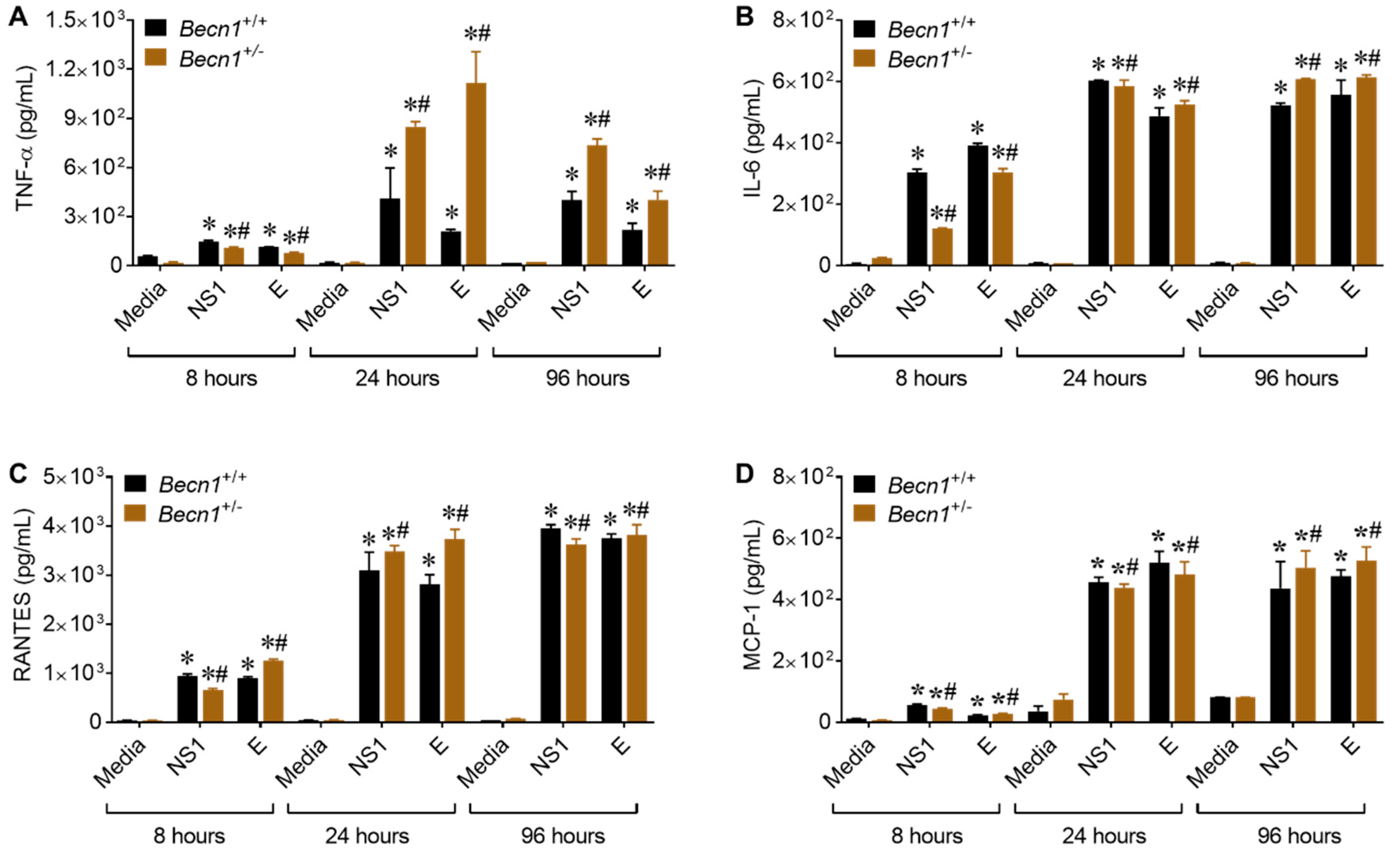 Viruses 12 00608 g005