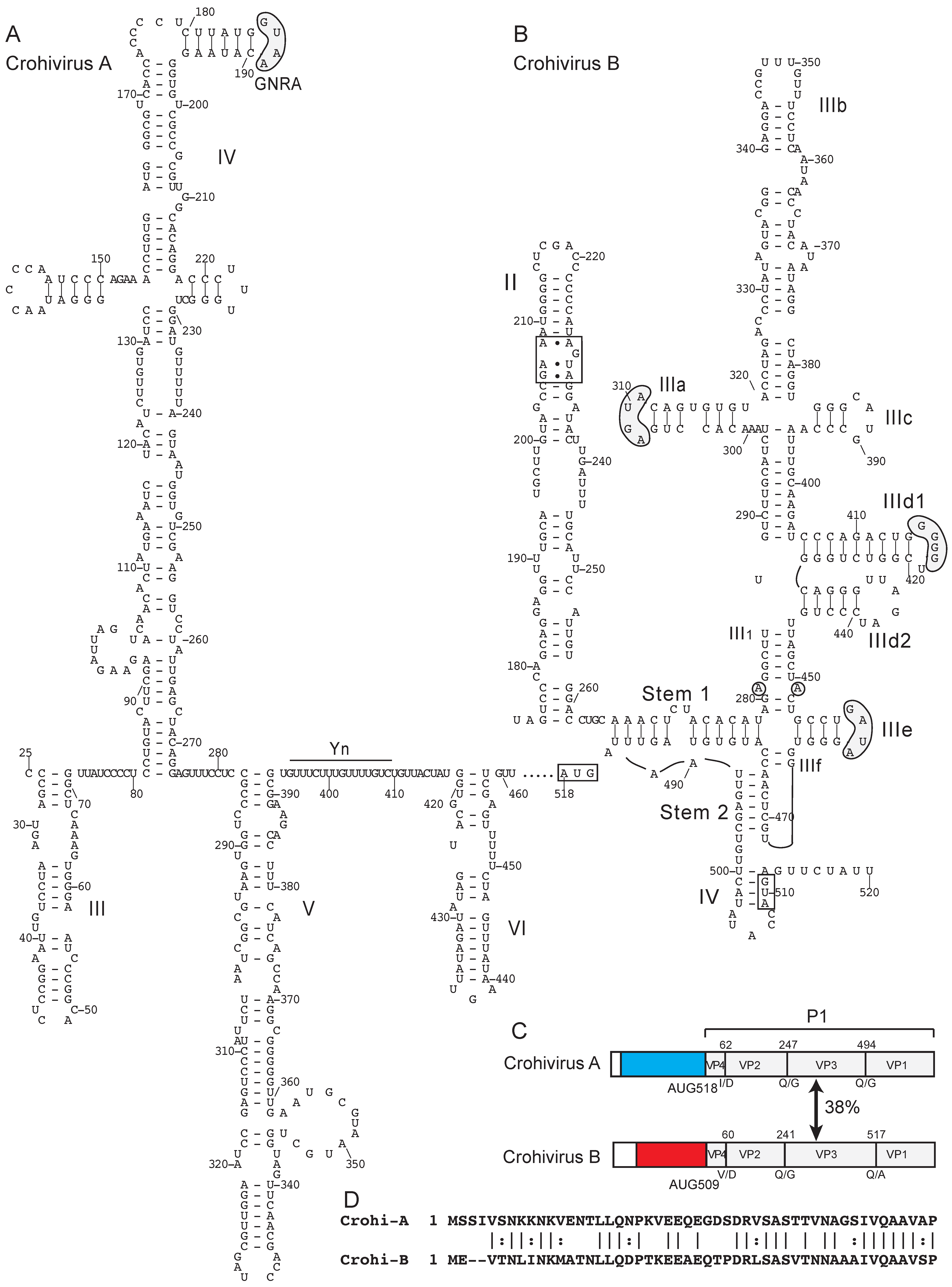Viruses 12 00612 g001