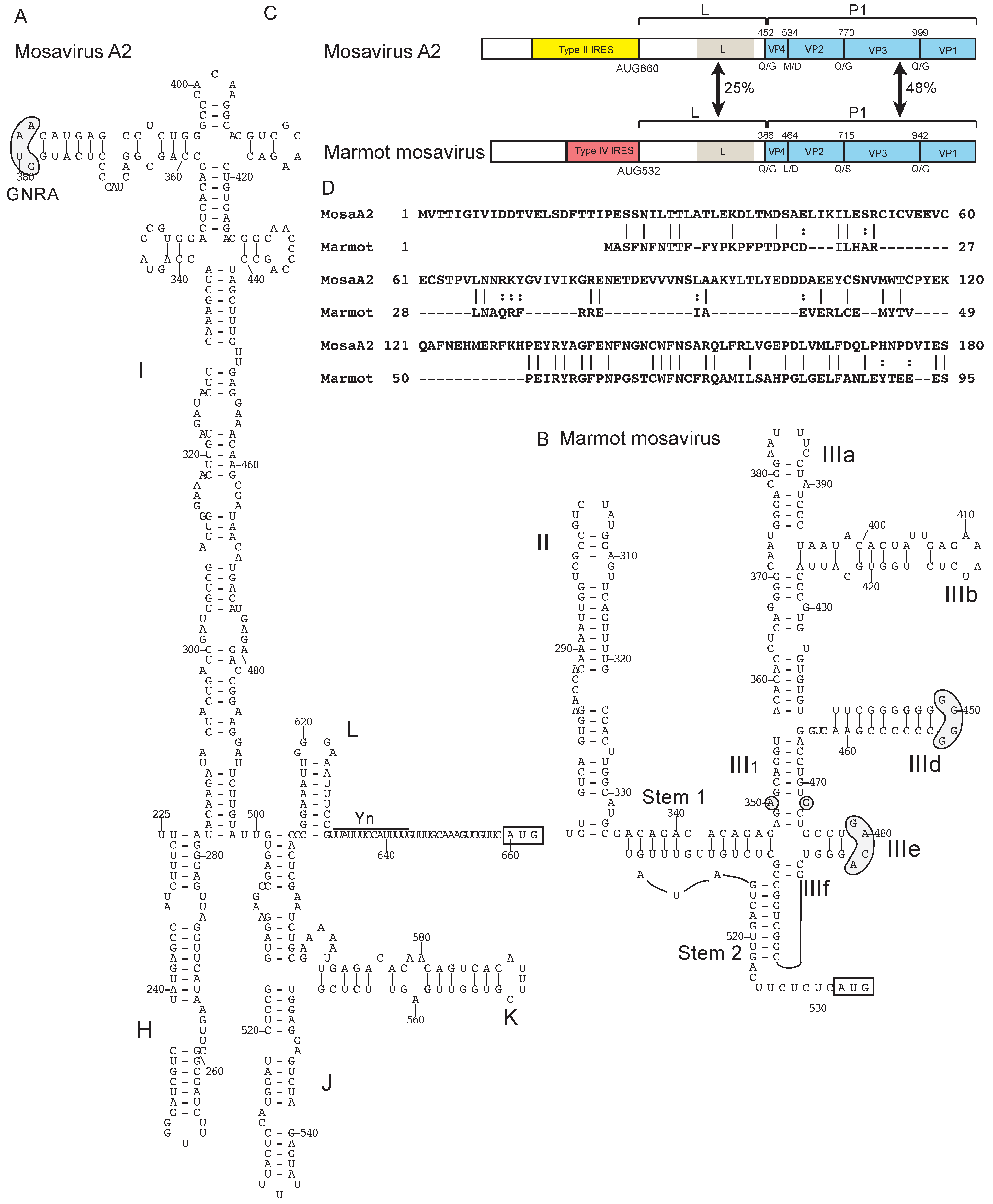 Viruses 12 00612 g002