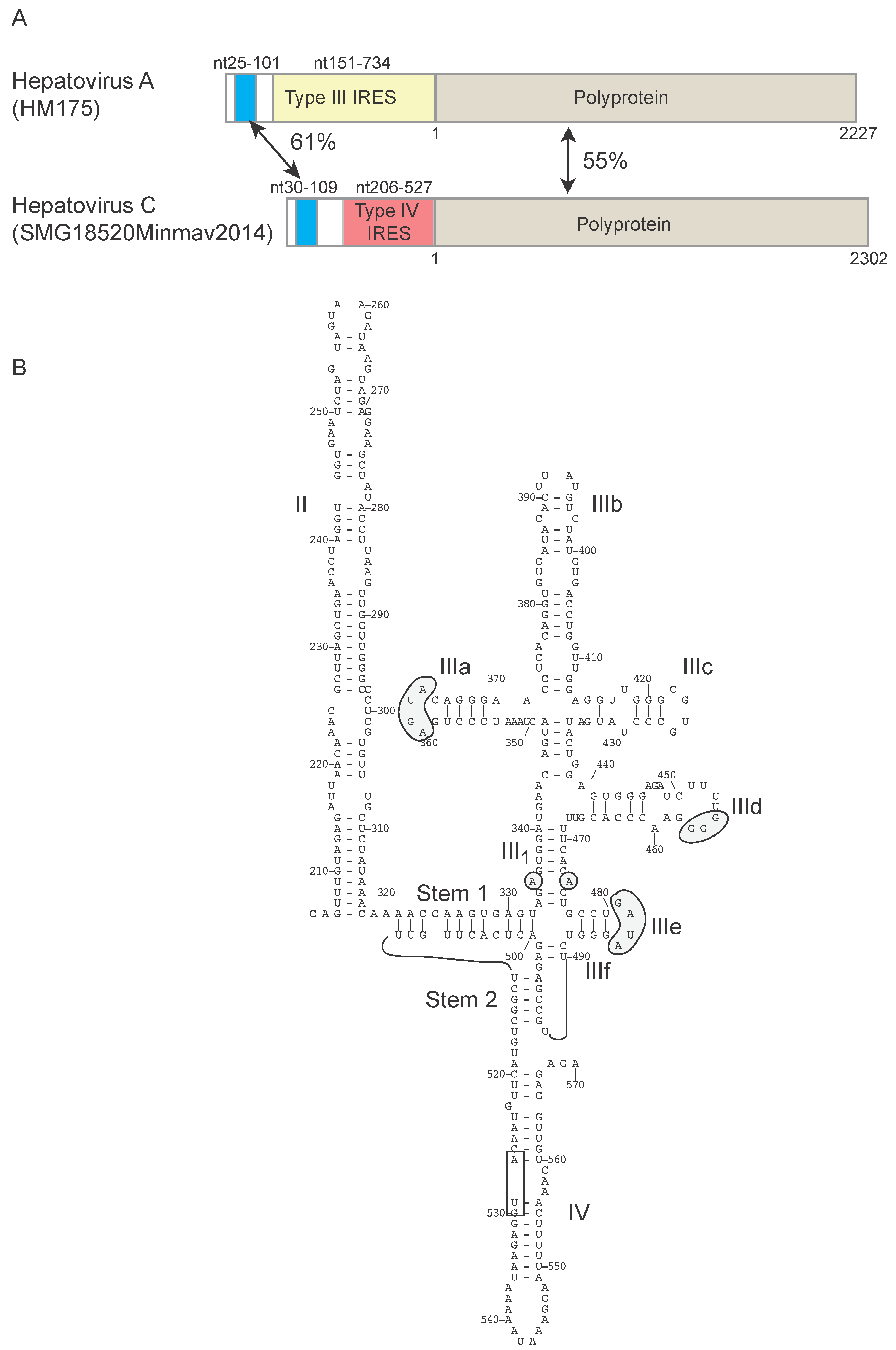 Viruses 12 00612 g003