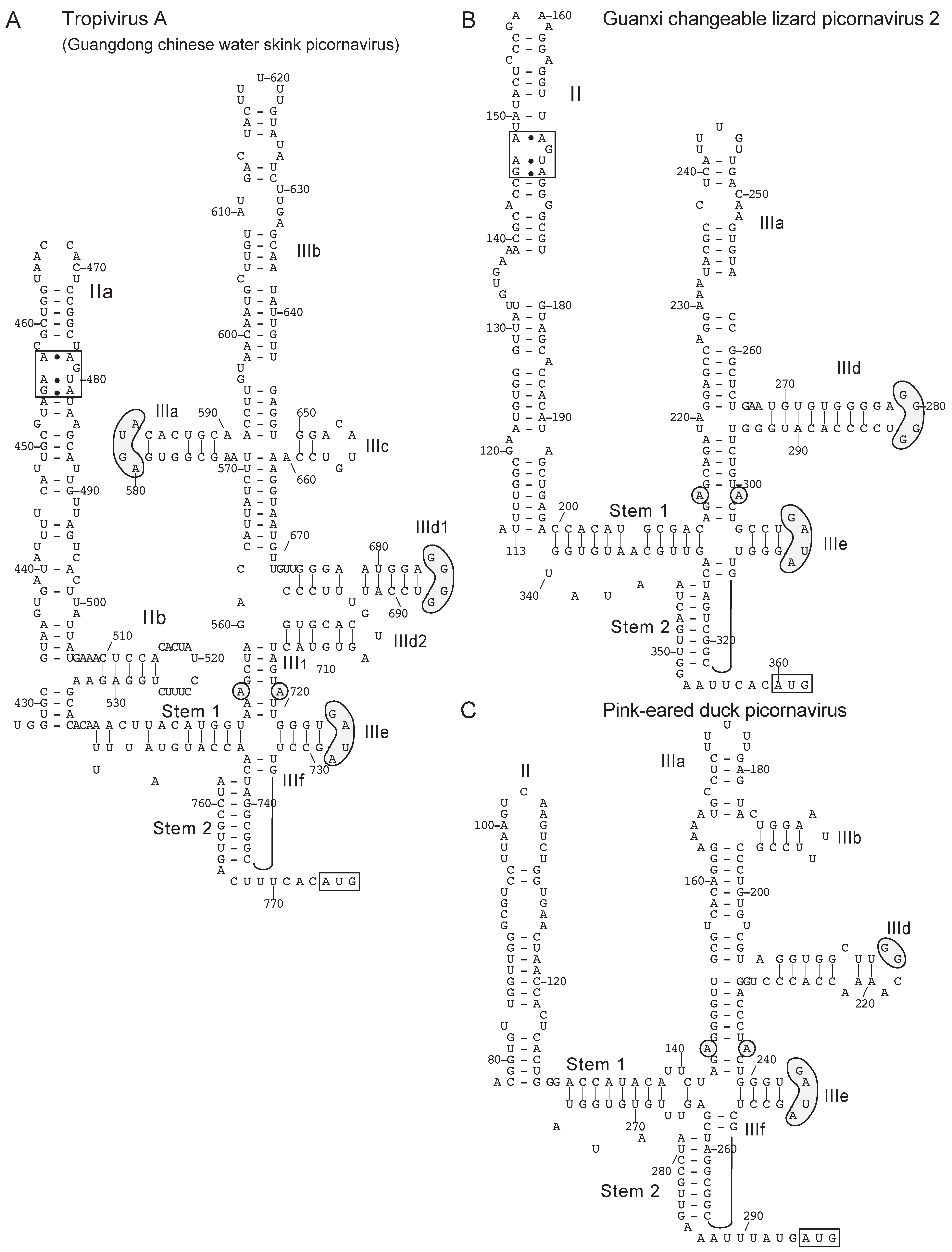 Viruses 12 00612 g004