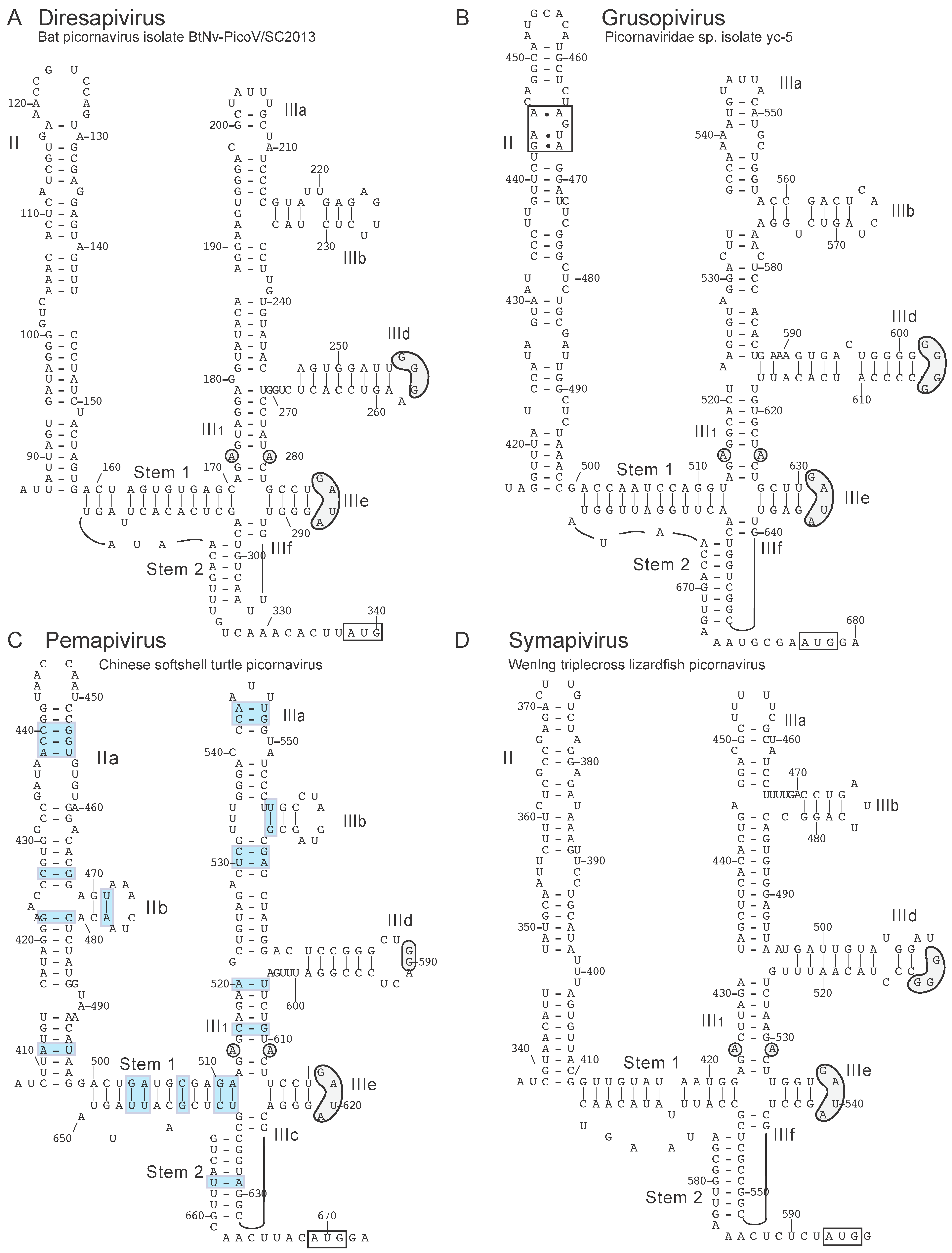 Viruses 12 00612 g005