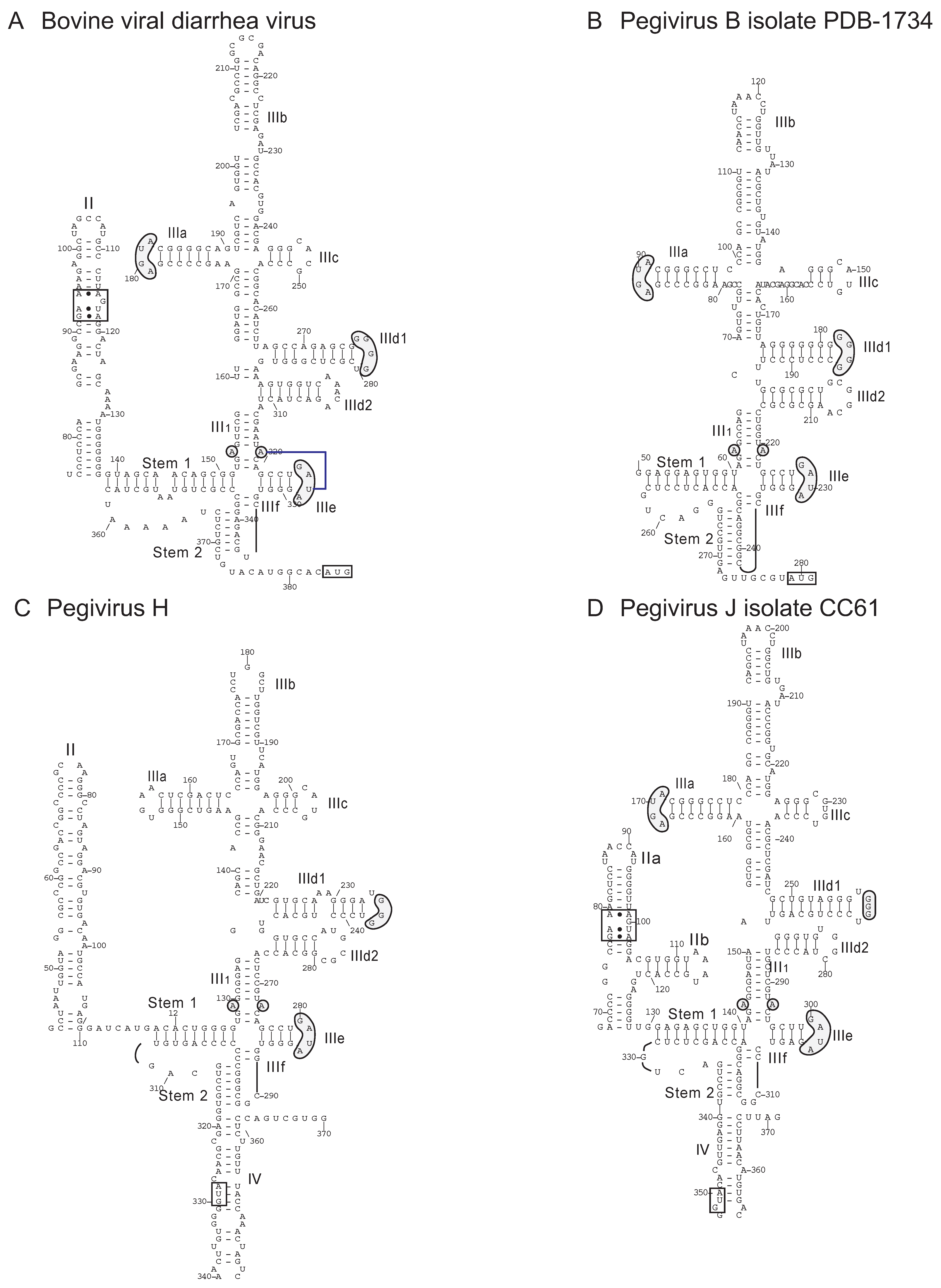 Viruses 12 00612 g007