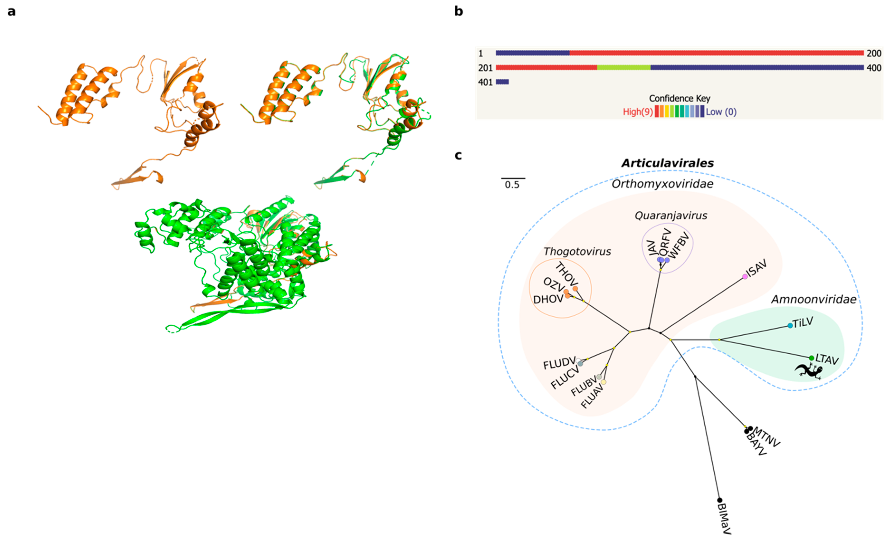 Viruses 12 00613 g001