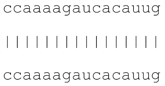 Viruses 12 00614 i001