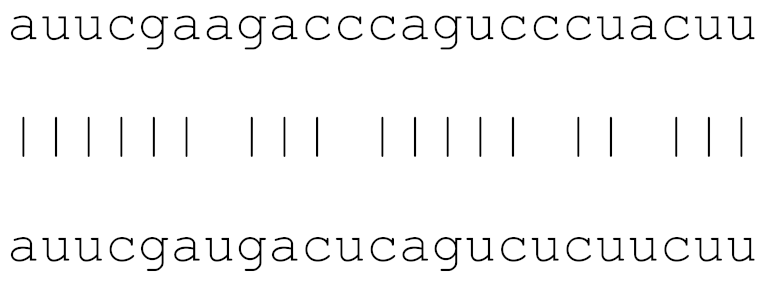 Viruses 12 00614 i002