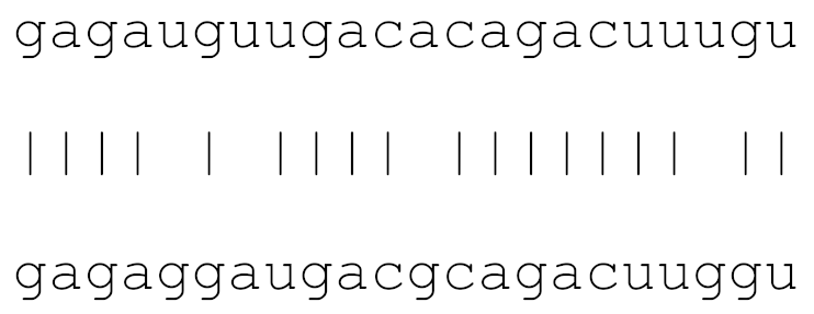 Viruses 12 00614 i007