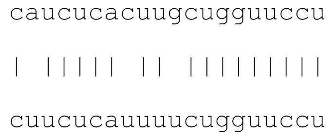 Viruses 12 00614 i009