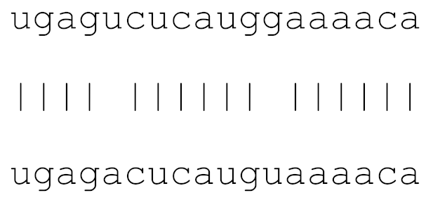 Viruses 12 00614 i010