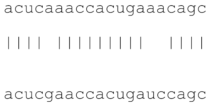 Viruses 12 00614 i012