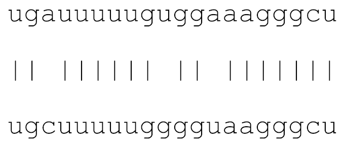 Viruses 12 00614 i013