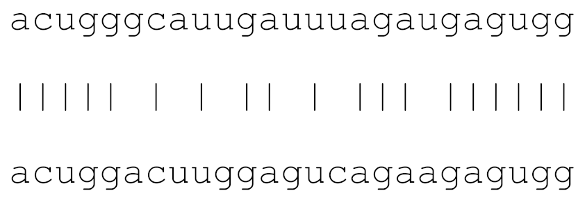 Viruses 12 00614 i014