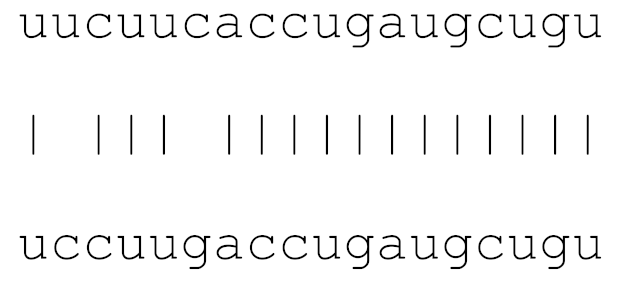 Viruses 12 00614 i015