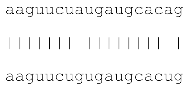 Viruses 12 00614 i019