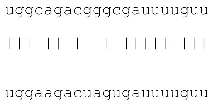 Viruses 12 00614 i020