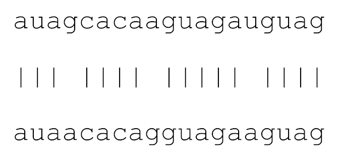 Viruses 12 00614 i021