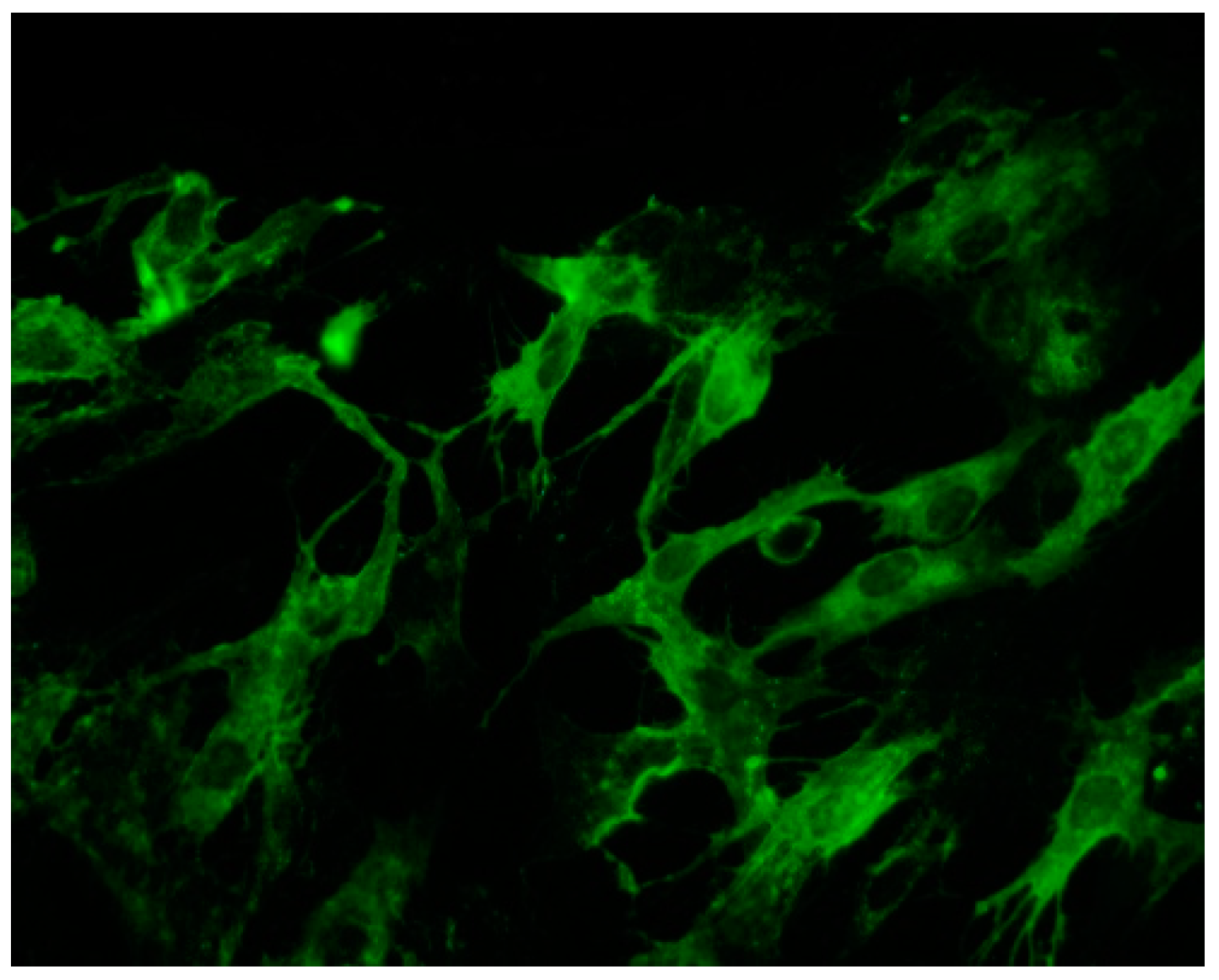 Viruses 12 00616 g002