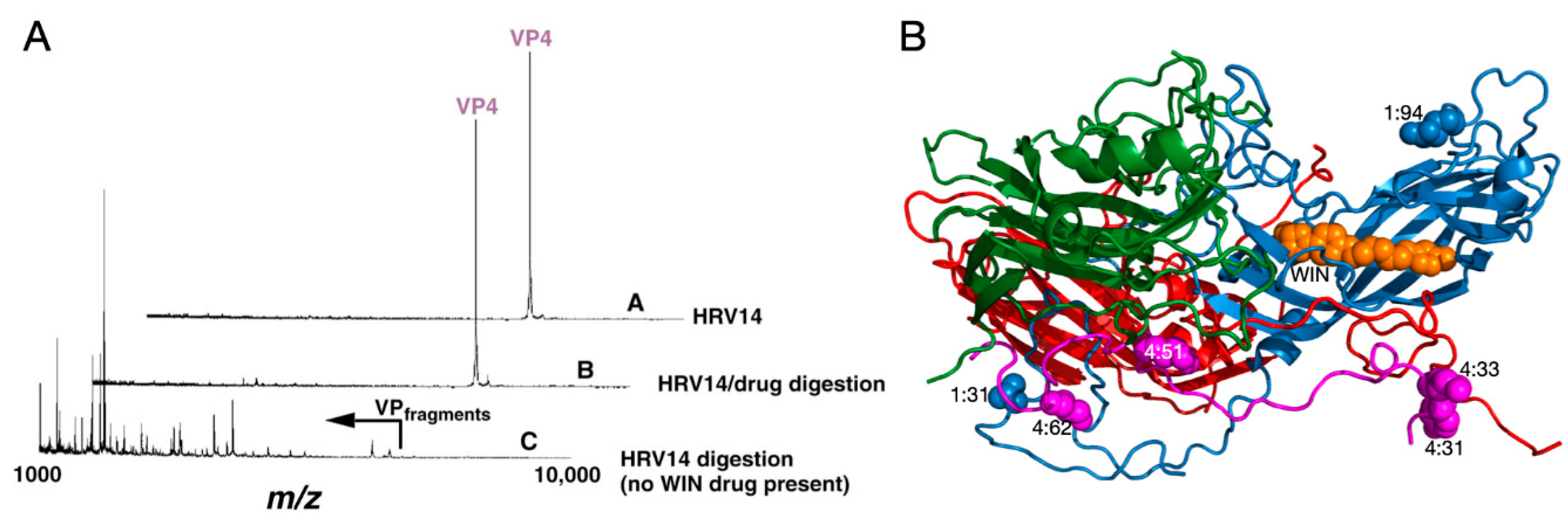 Viruses 12 00618 g002