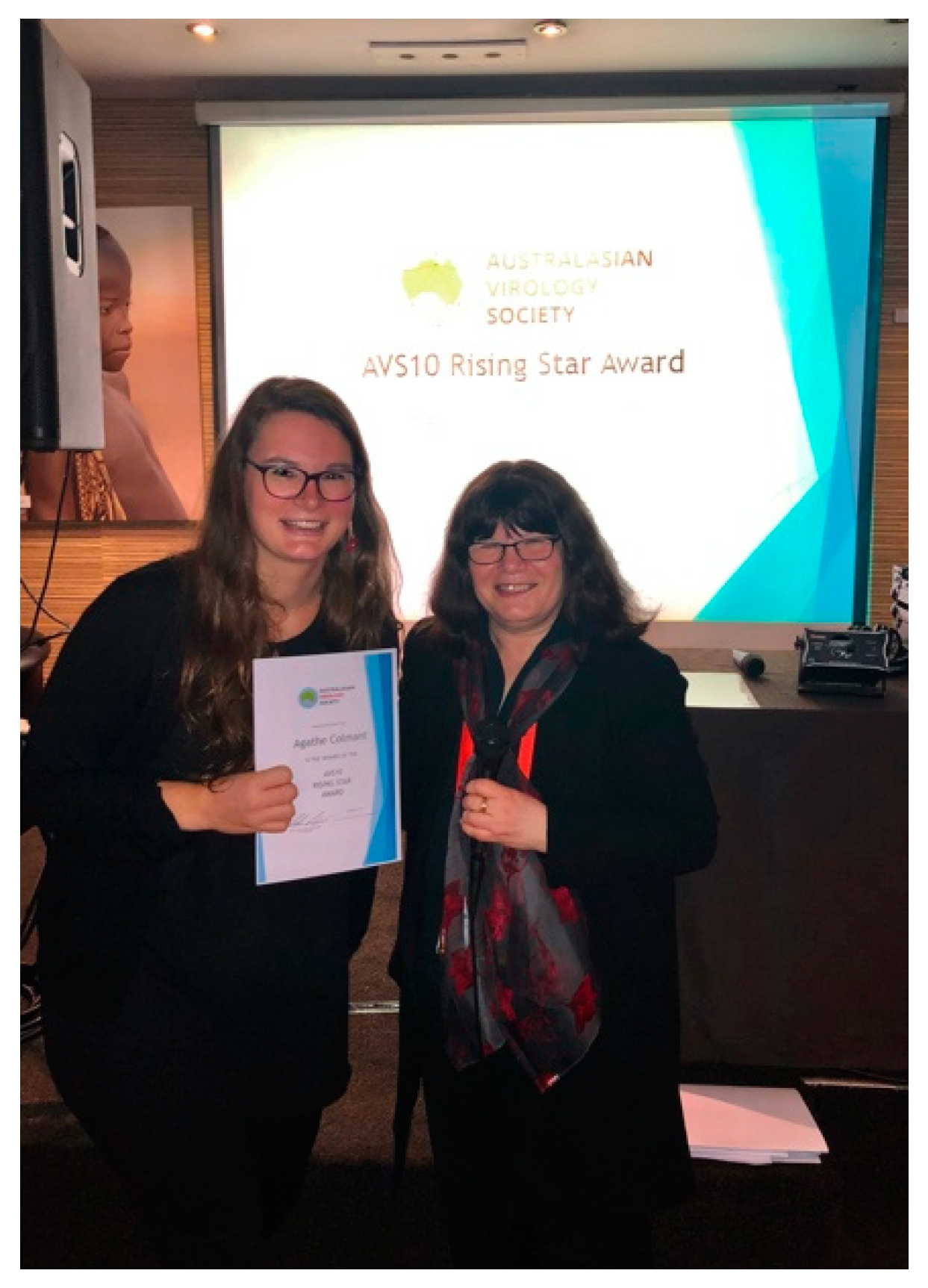 Viruses 12 00621 g003