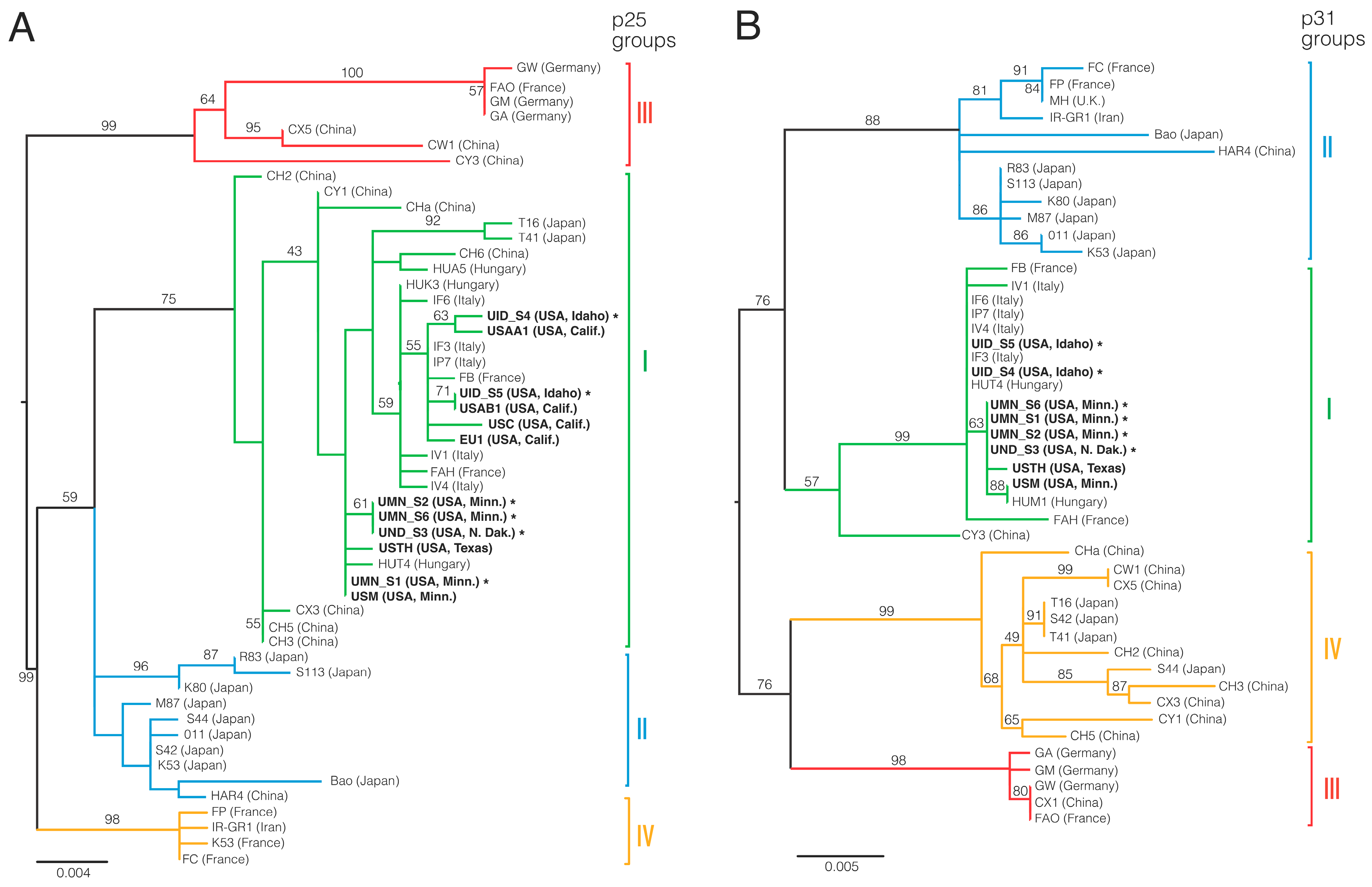 Viruses 12 00626 g002