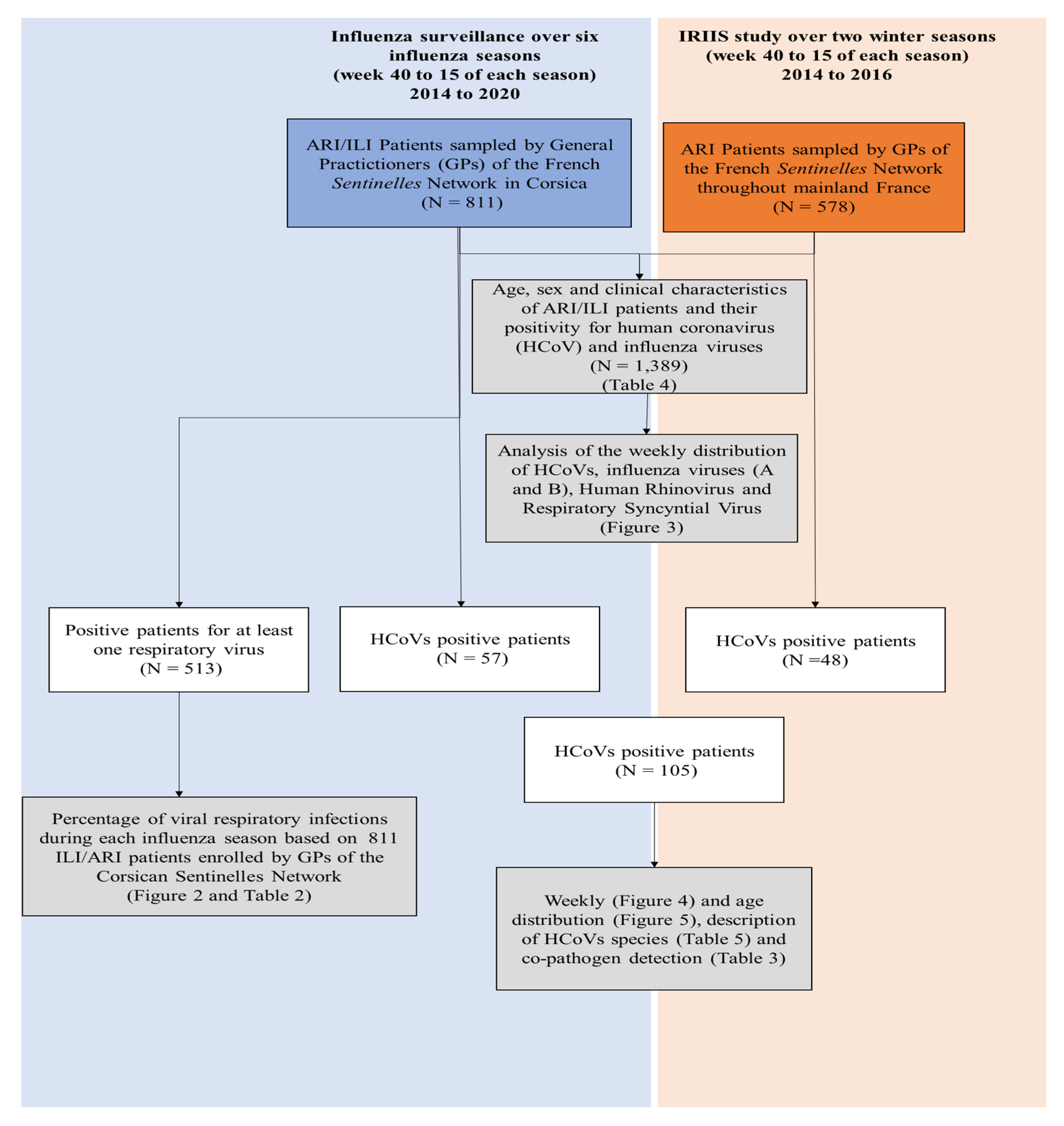 Viruses 12 00630 g001