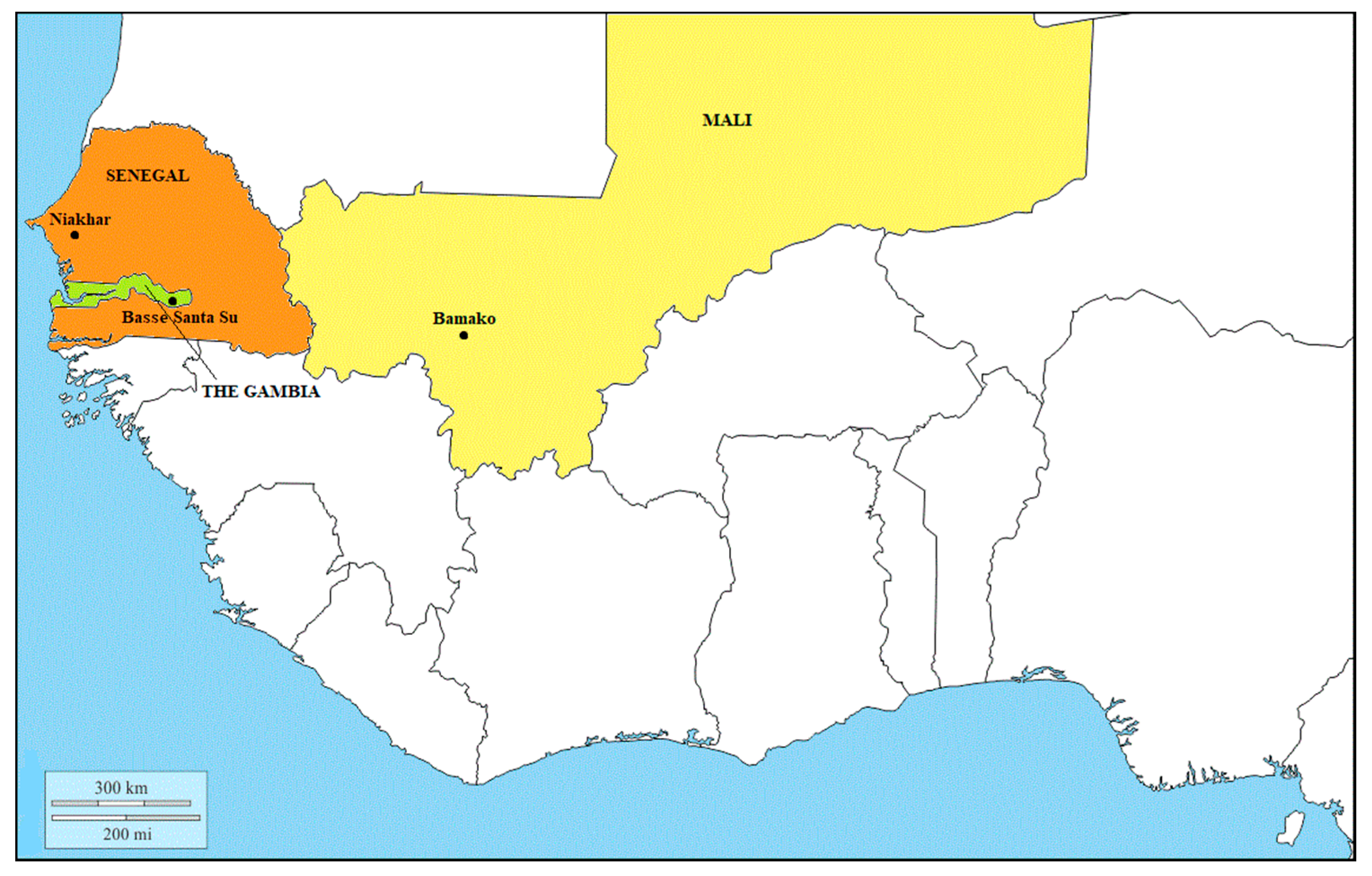 Viruses 12 00641 g001