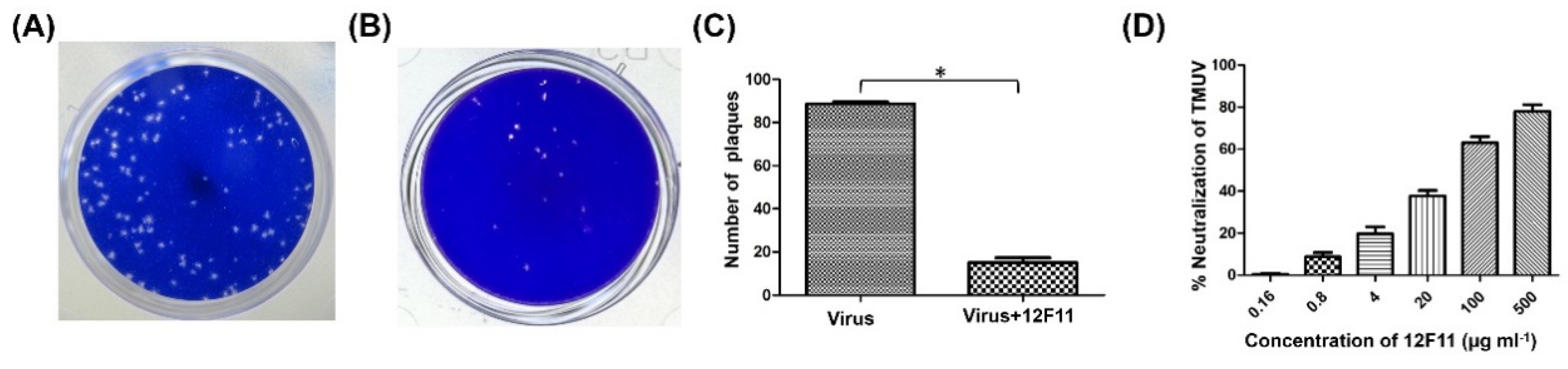 Viruses 12 00647 g004