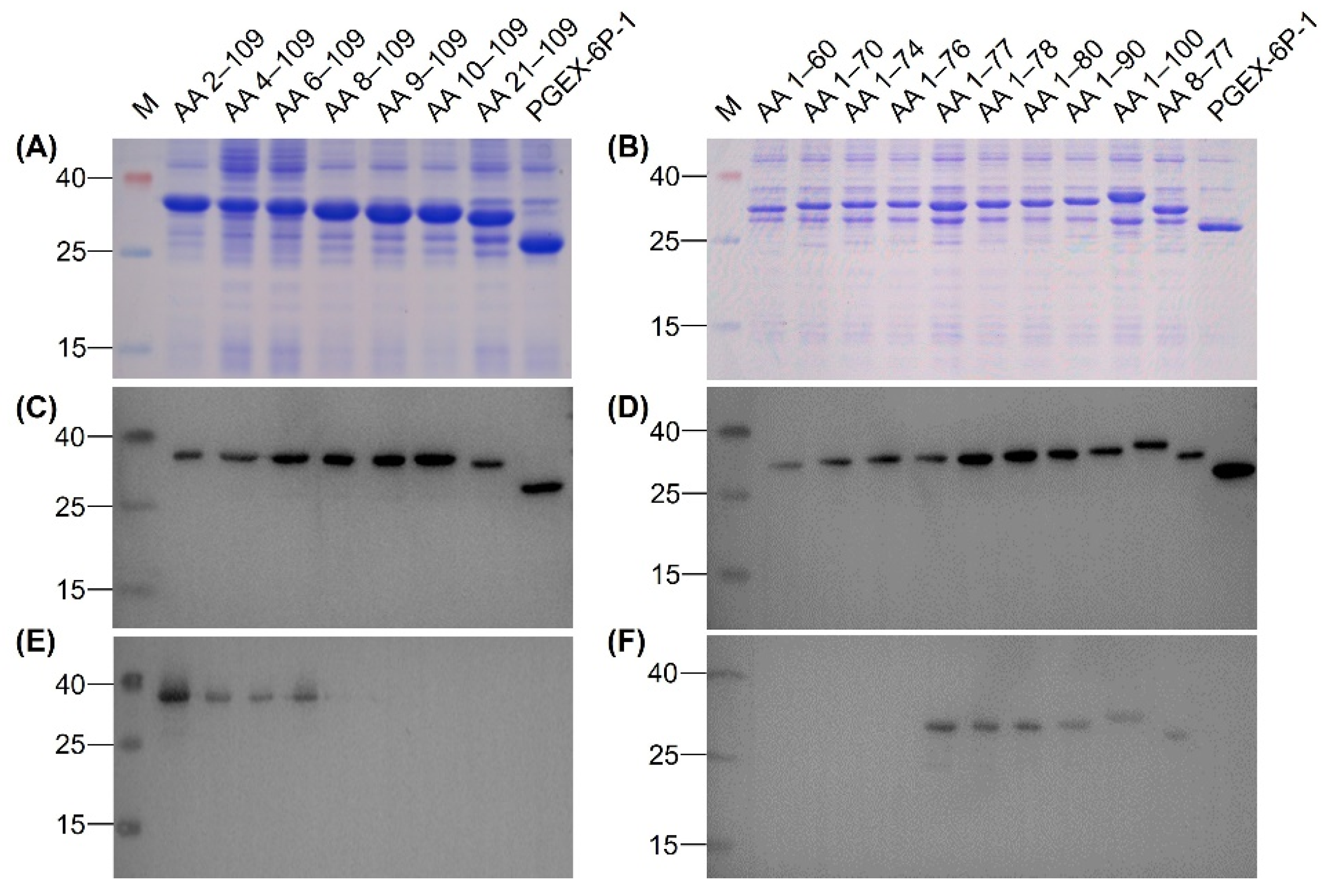 Viruses 12 00647 g005
