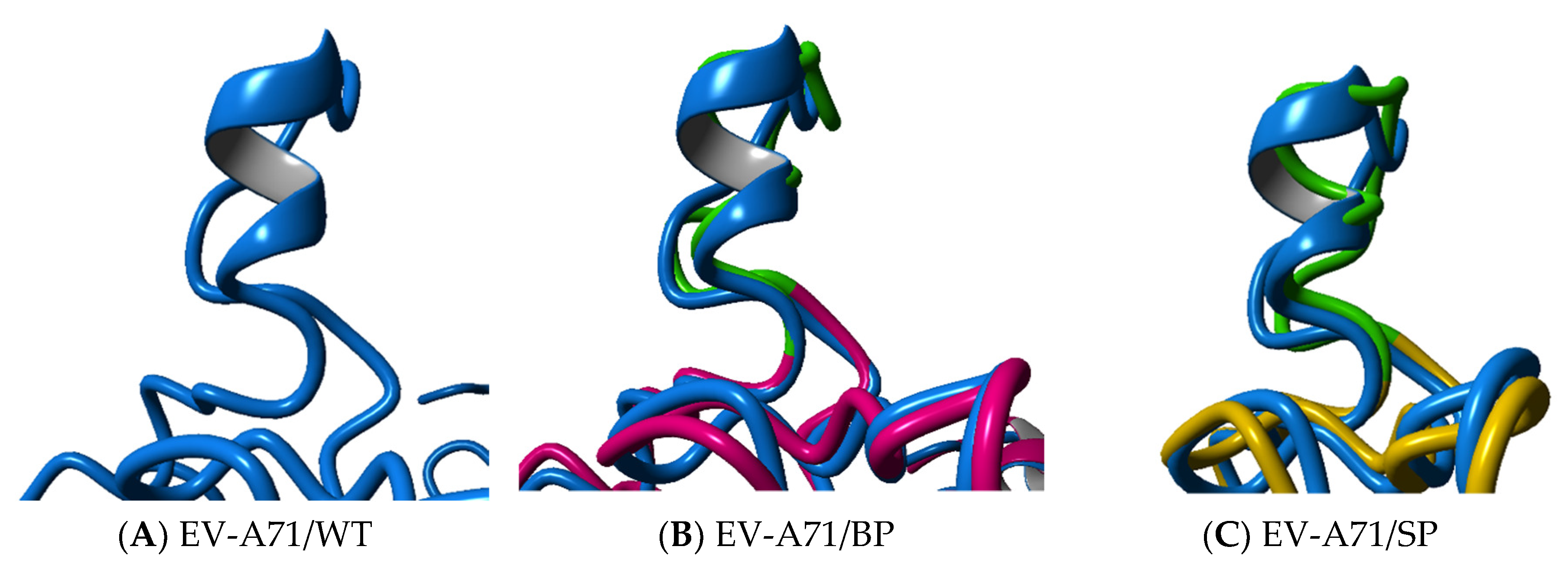Viruses 12 00651 g007
