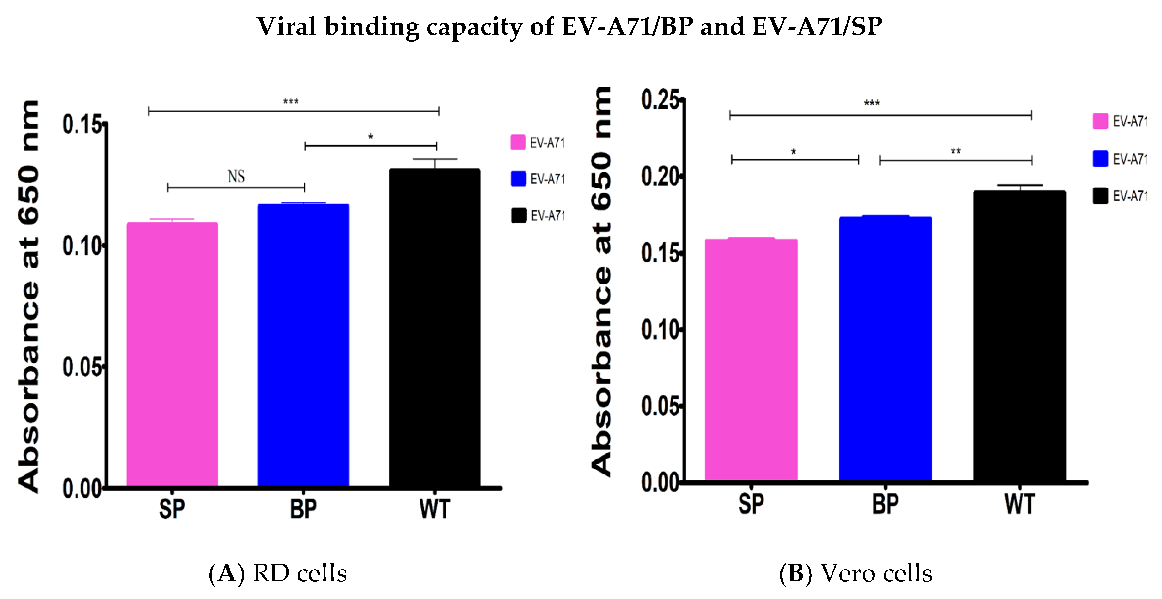 Viruses 12 00651 g008