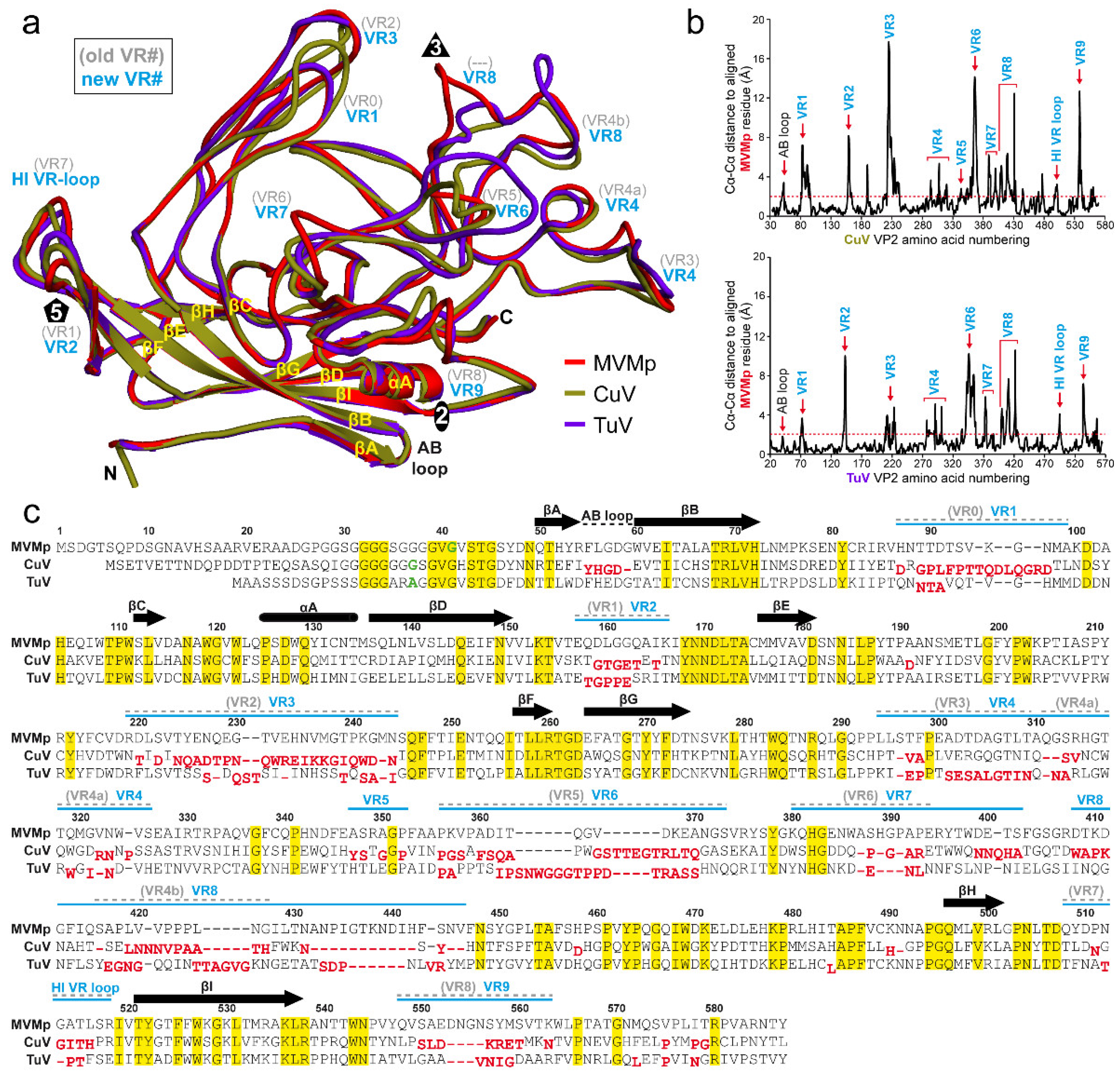 Viruses 12 00653 g003