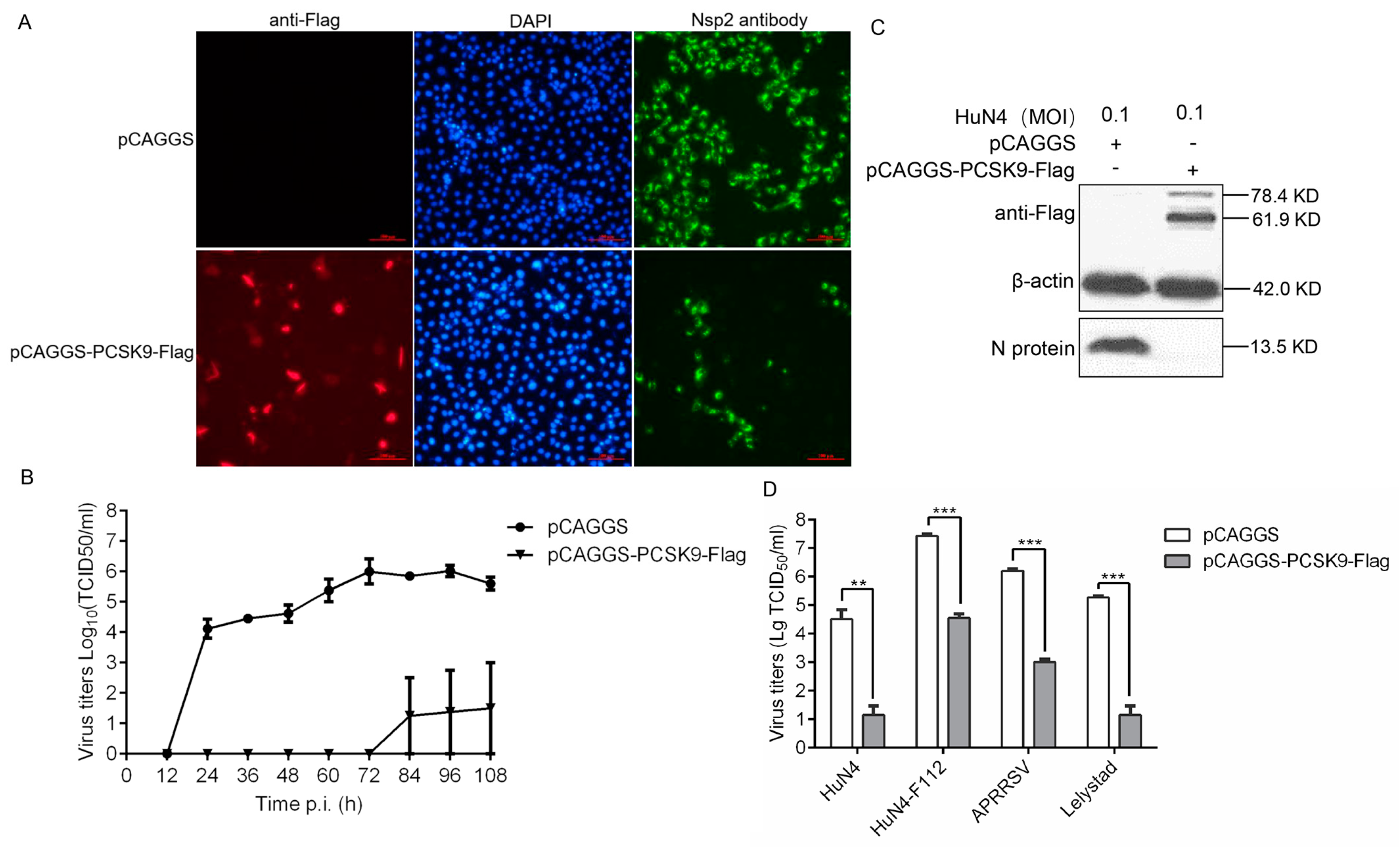 Viruses 12 00655 g001 Viruses 12 00655 g001