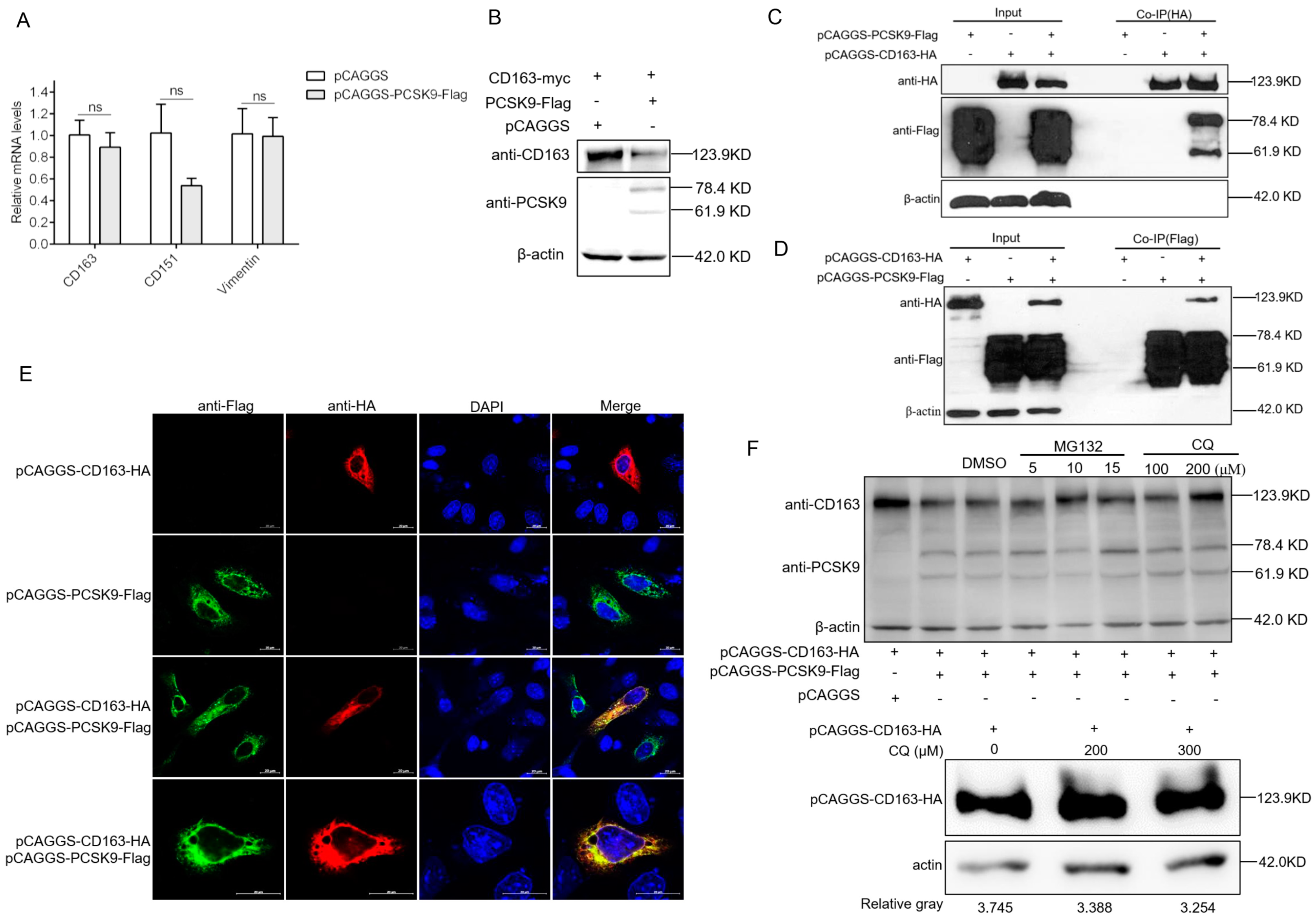 Viruses 12 00655 g003 Viruses 12 00655 g003