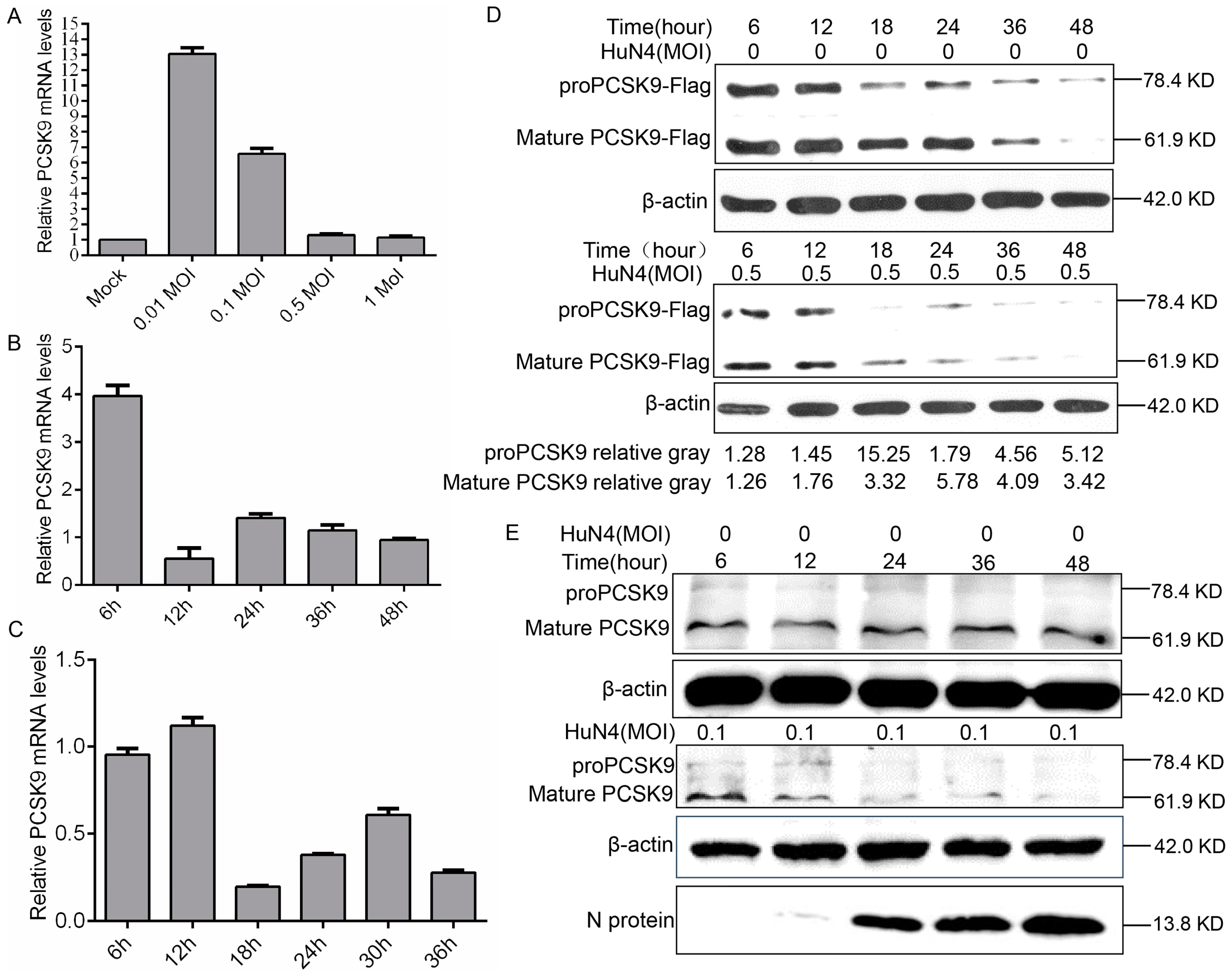 Viruses 12 00655 g005 Viruses 12 00655 g005