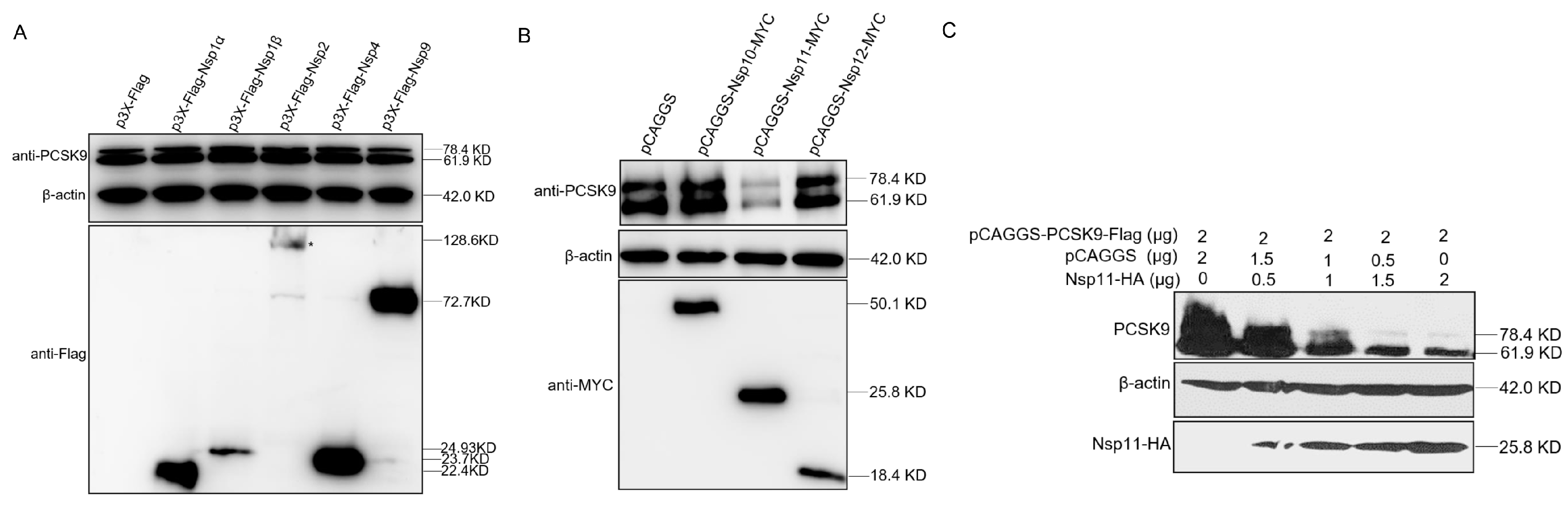 Viruses 12 00655 g006 Viruses 12 00655 g006