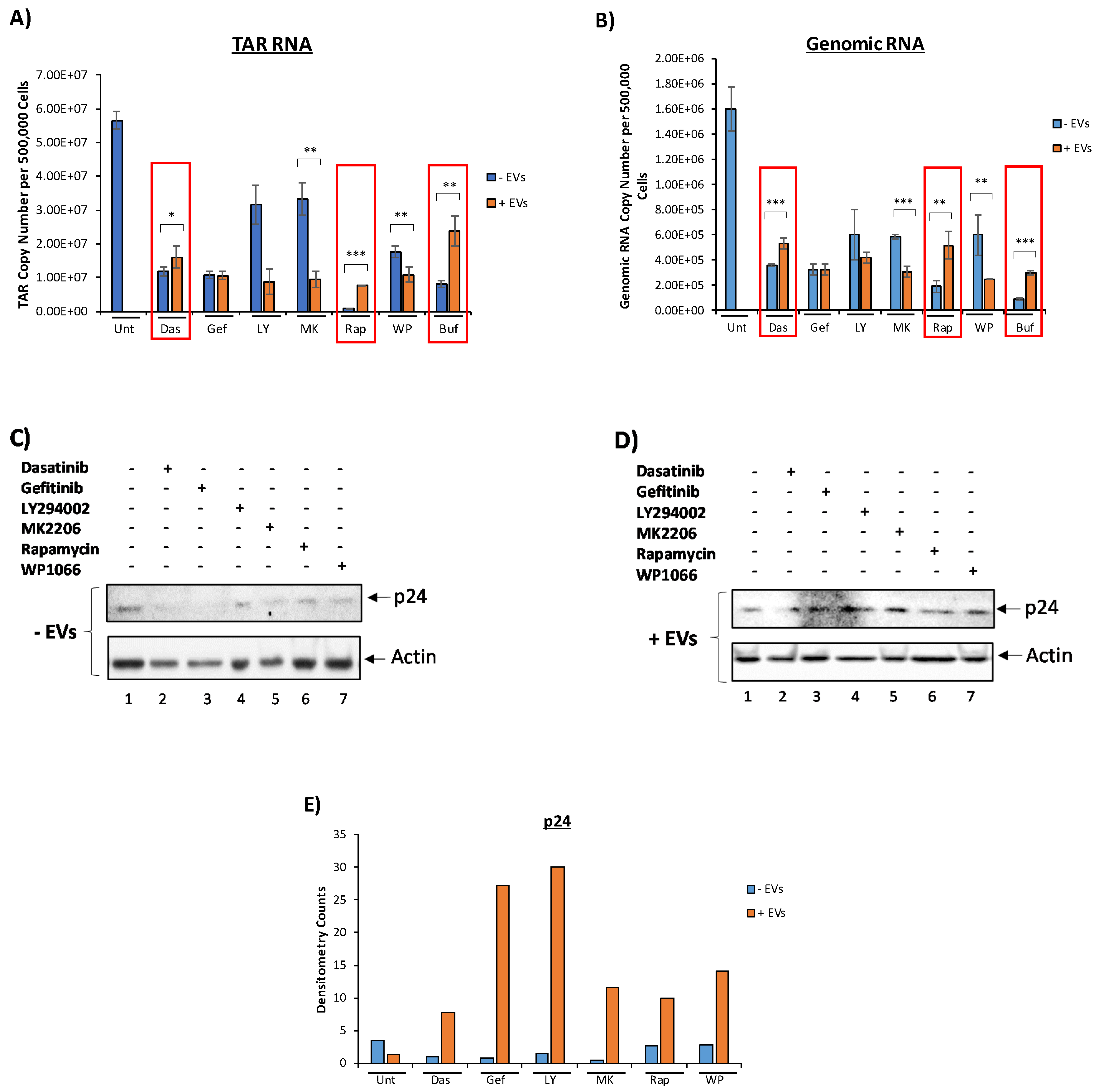Viruses 12 00665 g003