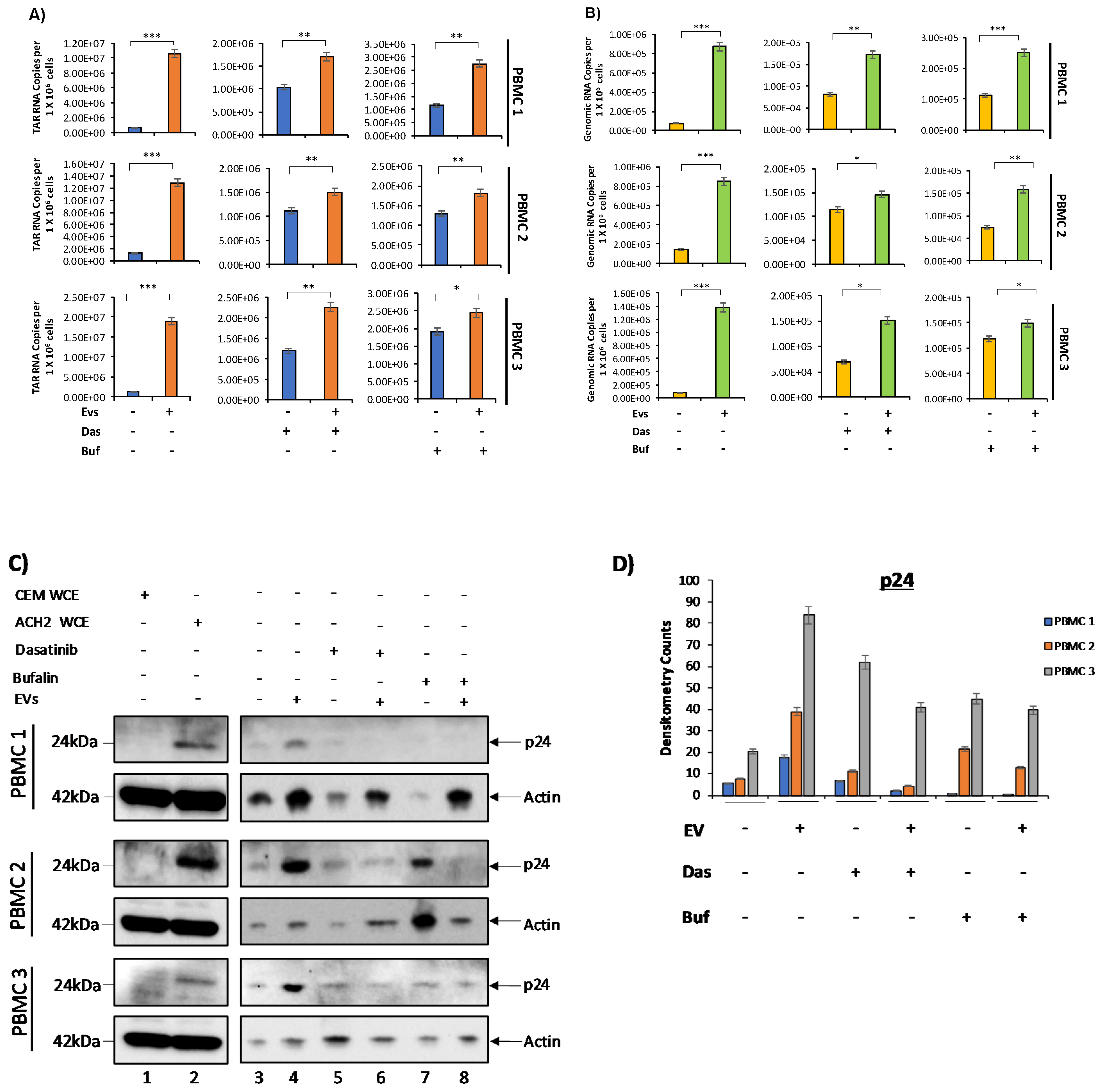 Viruses 12 00665 g005