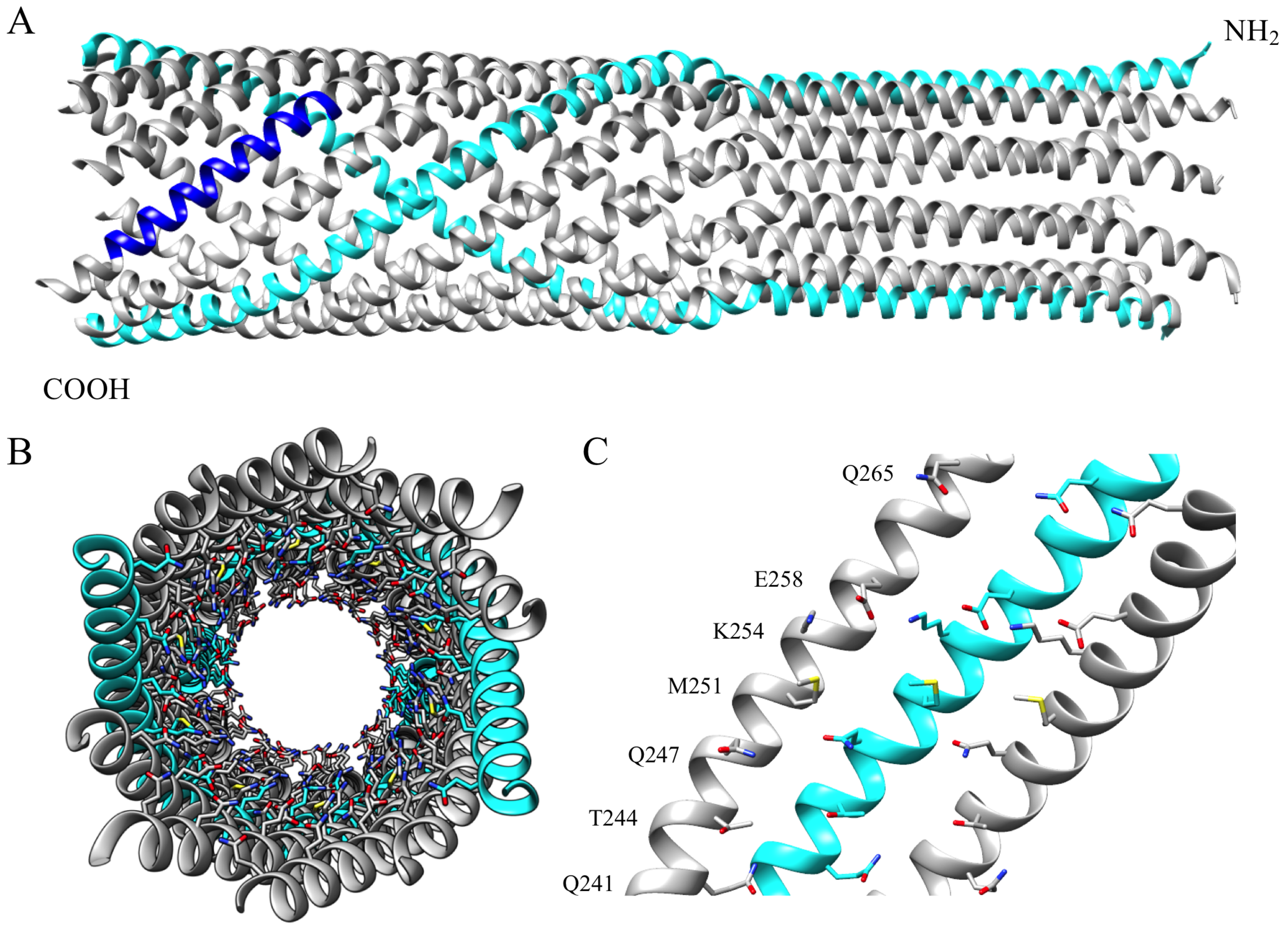 Viruses 12 00670 g001