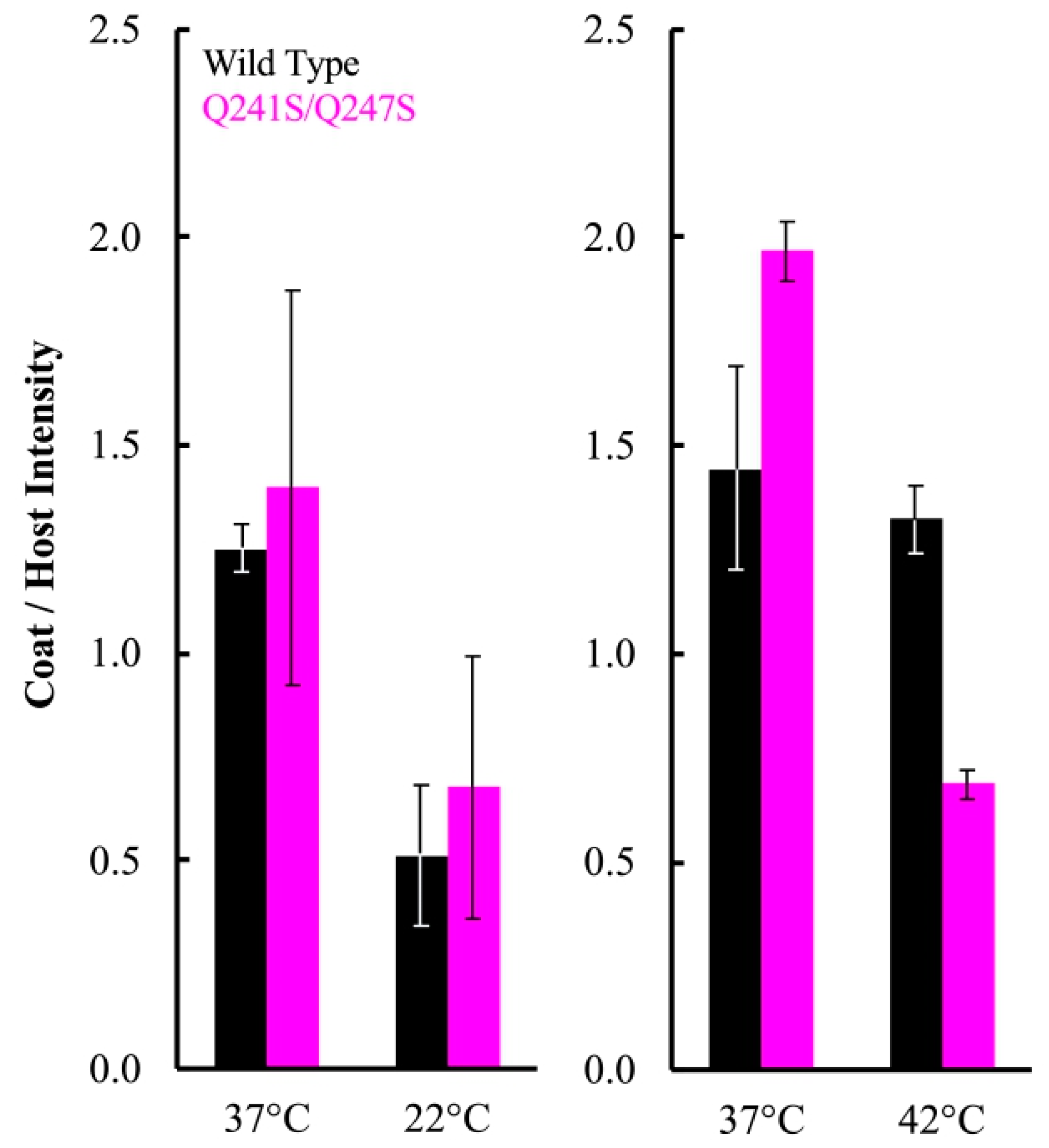 Viruses 12 00670 g004
