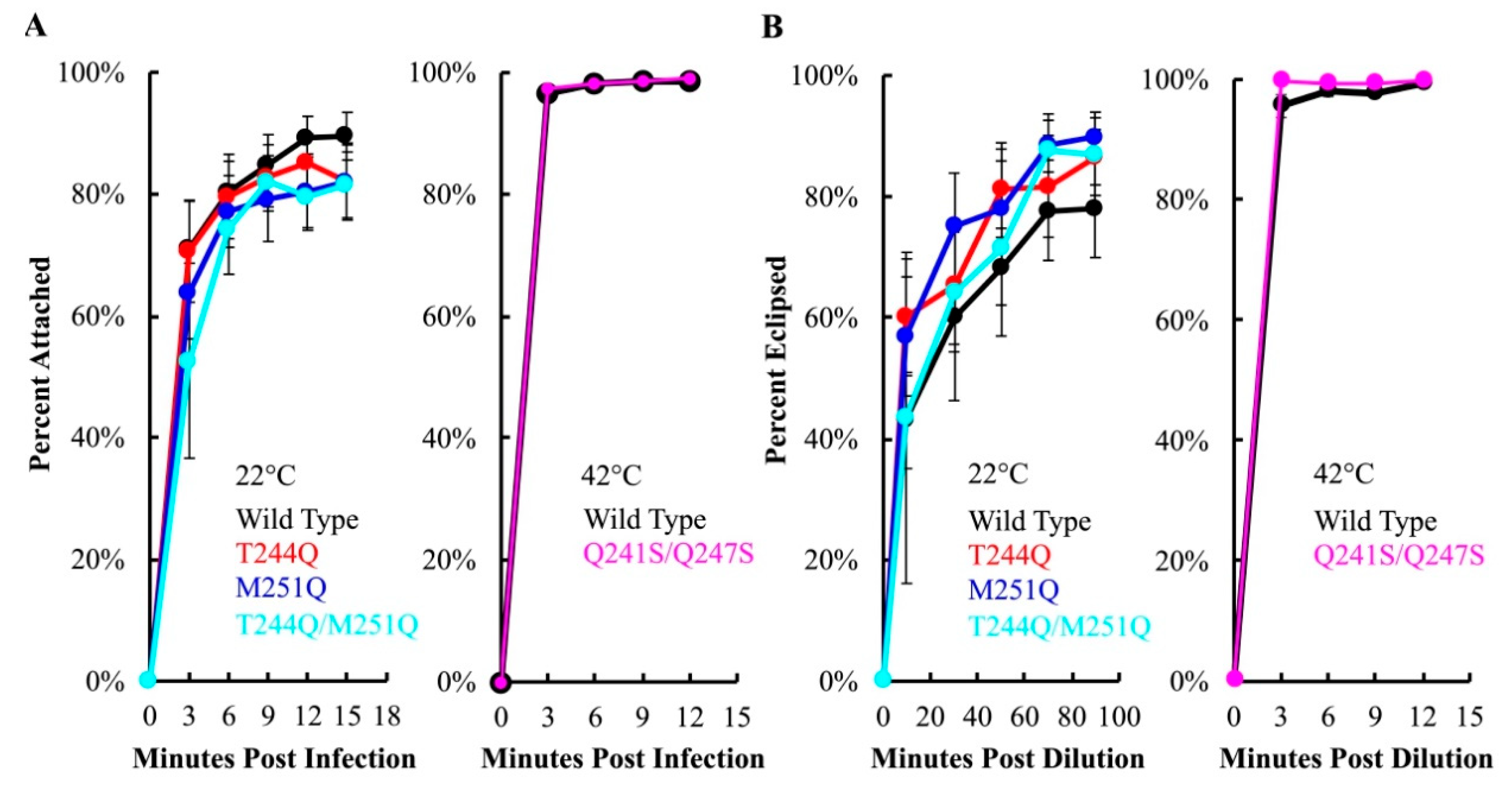 Viruses 12 00670 g005