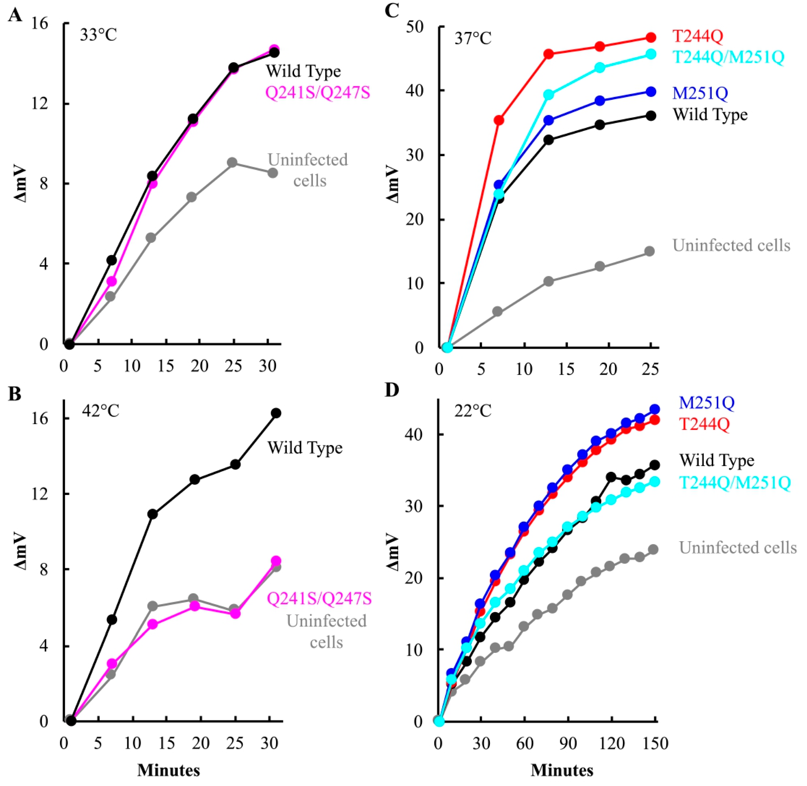 Viruses 12 00670 g006