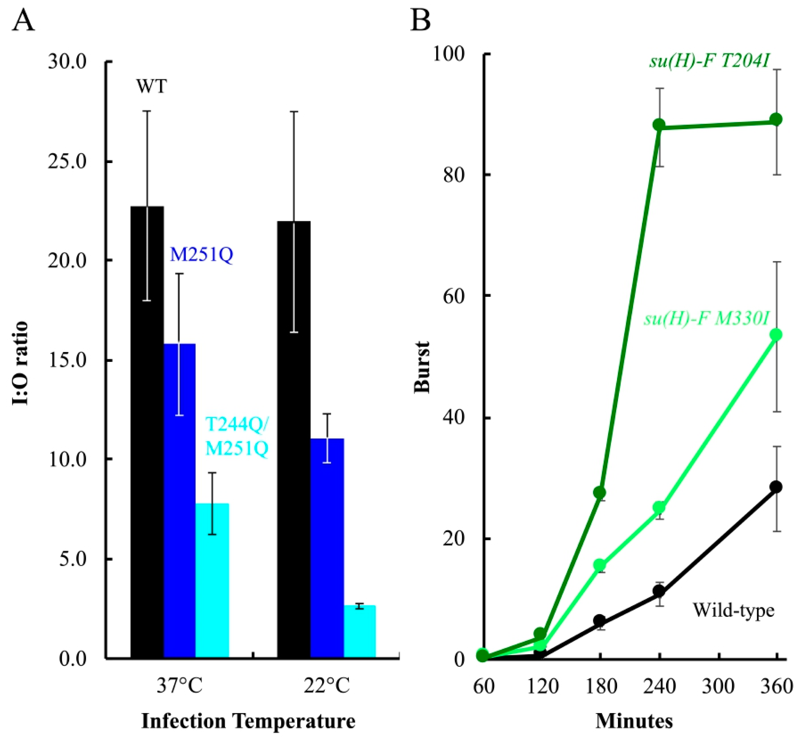 Viruses 12 00670 g007