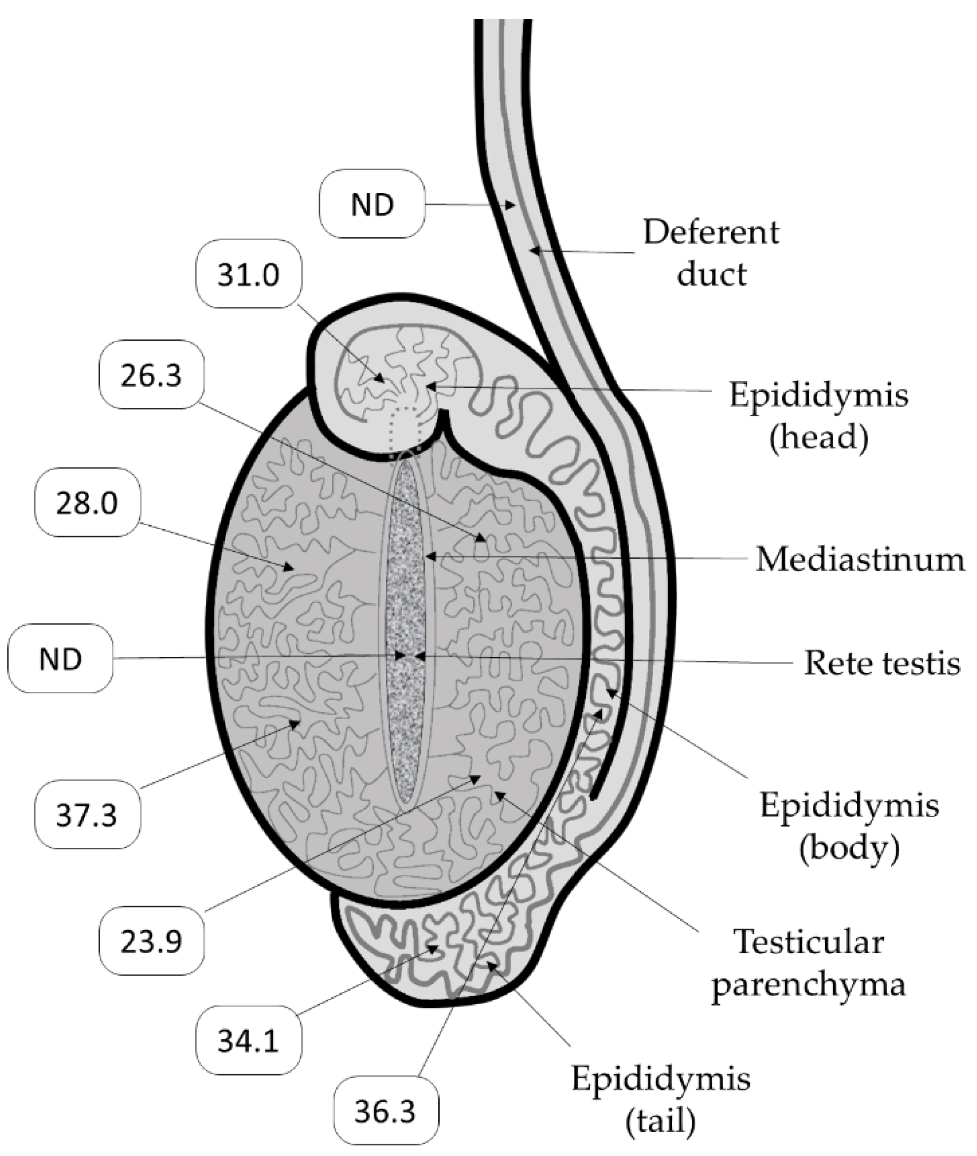 Viruses 12 00674 g001