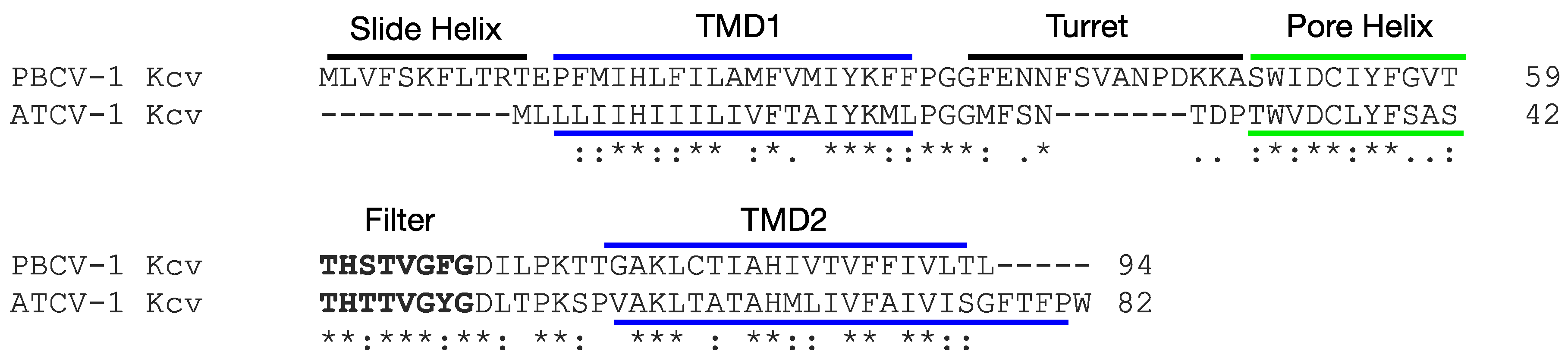 Viruses 12 00678 g001