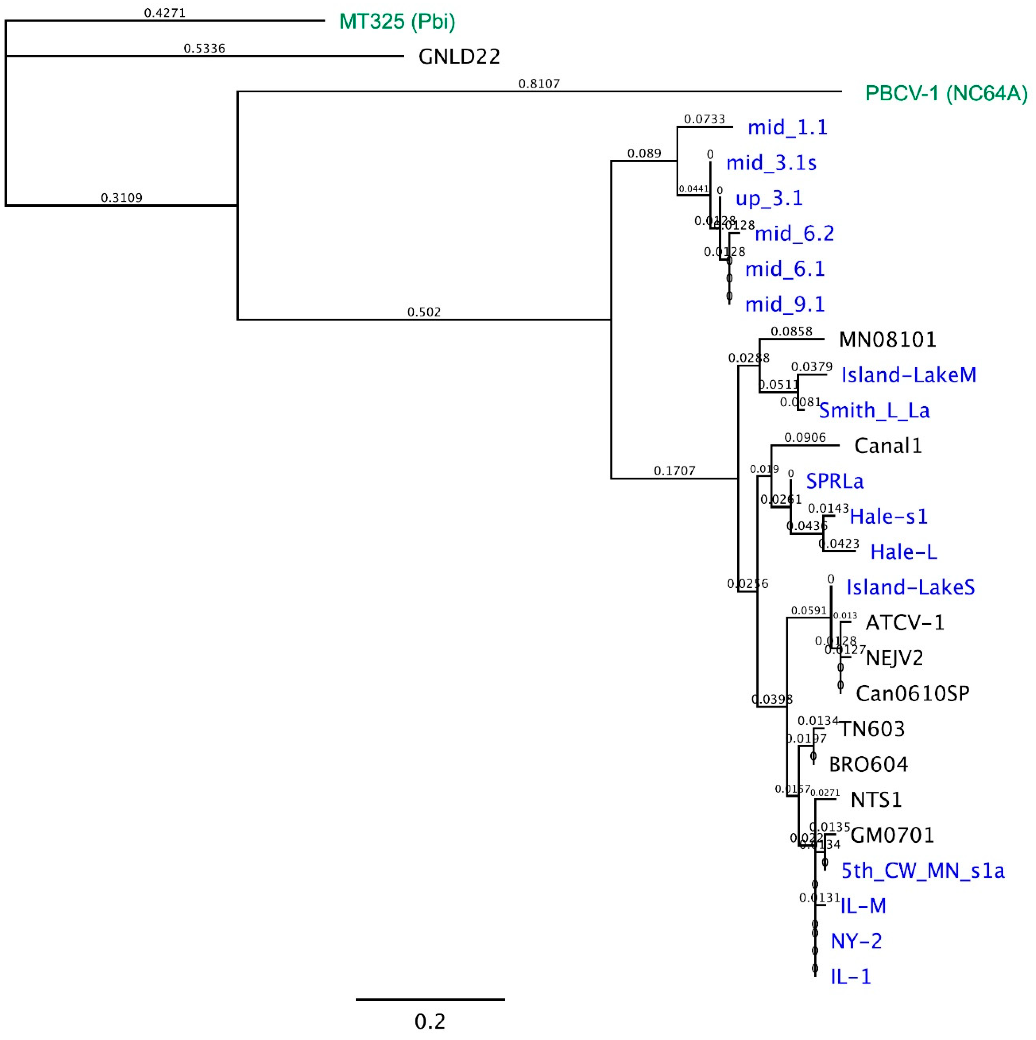 Viruses 12 00678 g003