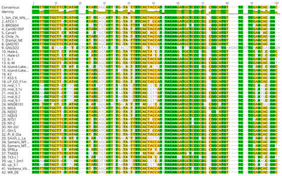 Viruses 12 00678 g0a1a Viruses 12 00678 g0a1a
