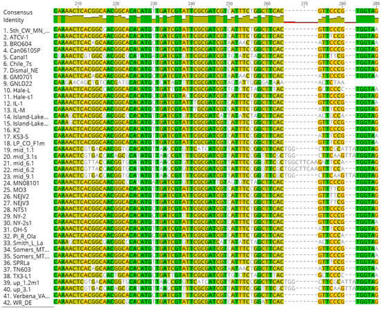 Viruses 12 00678 g0a1c