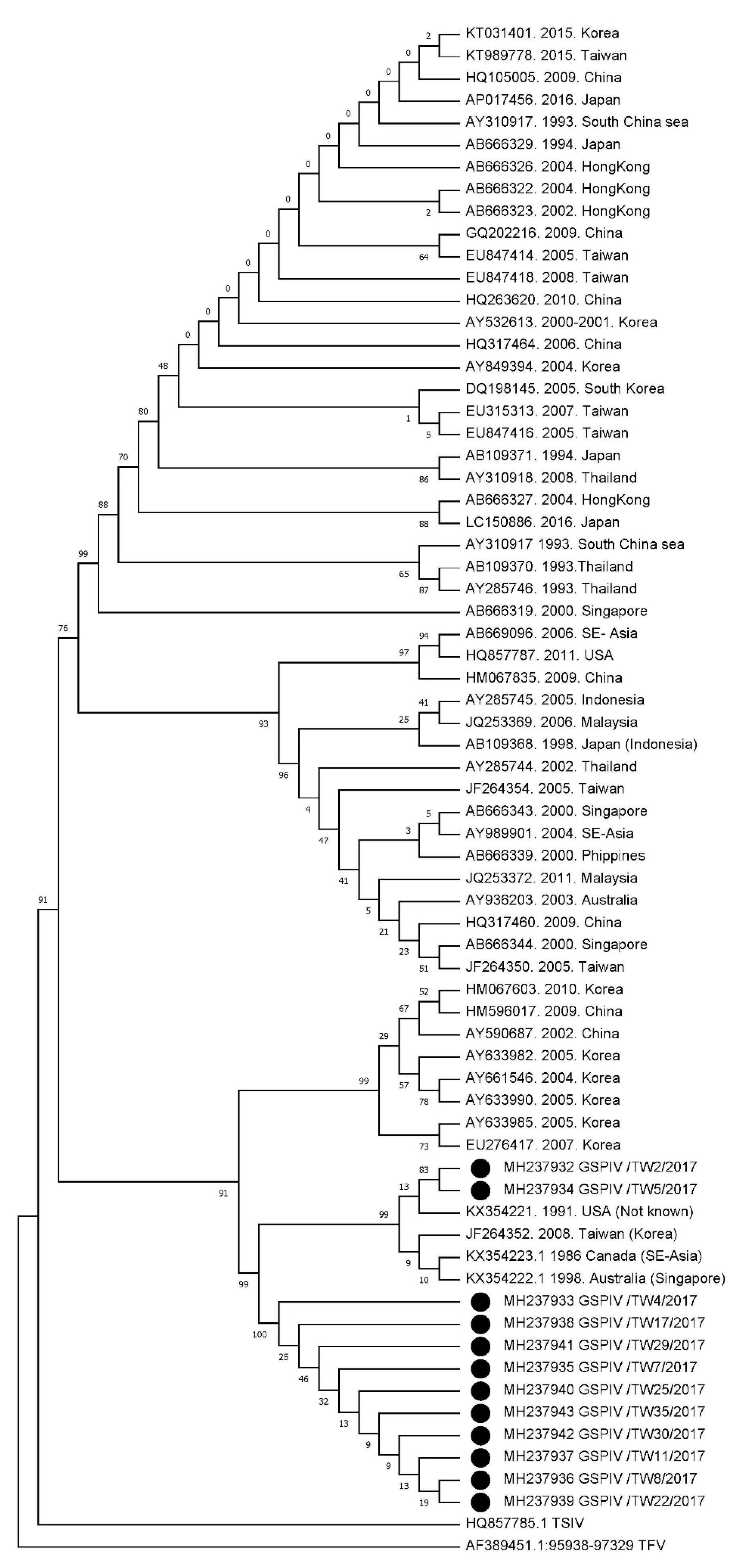 Viruses 12 00681 g002